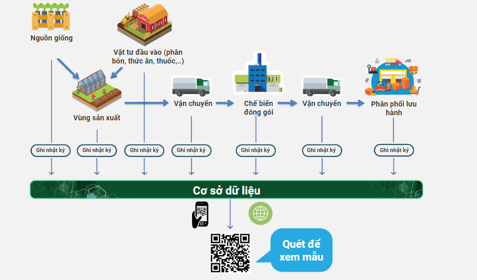 Kiến trúc hệ thống Truy xuất nguồn gốc của iCheck