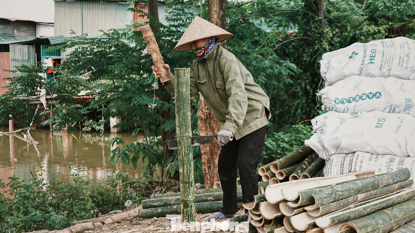 Để có được một chiếc quạt ưng ý, người nghệ nhân phải bỏ rất nhiều công sức chọn lựa từng ống tre làm nan quạt, từng sợi mây để làm viền và từng thếp giấy để làm cánh quạt. Có nhiều loại quạt được người Chàng Sơn làm ra như quạt giấy, quạt ghép, quạt the, quạt thư pháp, quạt lụa... nhưng nổi tiếng nhất vẫn là quạt the