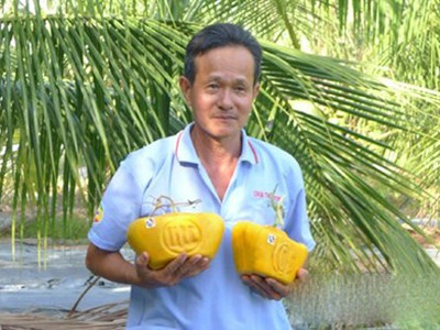 Năm nay CLB của ông Thành còn “nặn”ra trái dưa hấu hình thỏi vàng, hình đồng tiền để cạnh tranh với trái dưa hấu hình xe hơi, thỏi vàng của ông Trần Thanh Liêm (quận Bình Thuỷ, Cần Thơ)