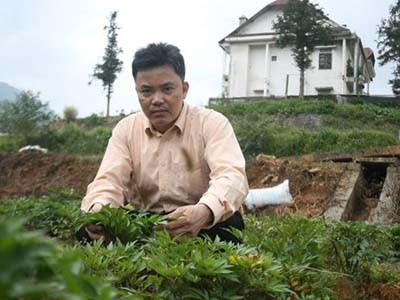 Ông Hùng đã bỏ rất nhiều công sức để nhân giống một số loại thuốc quí