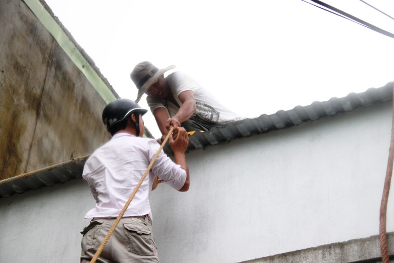 Giữ chắc mái tôn