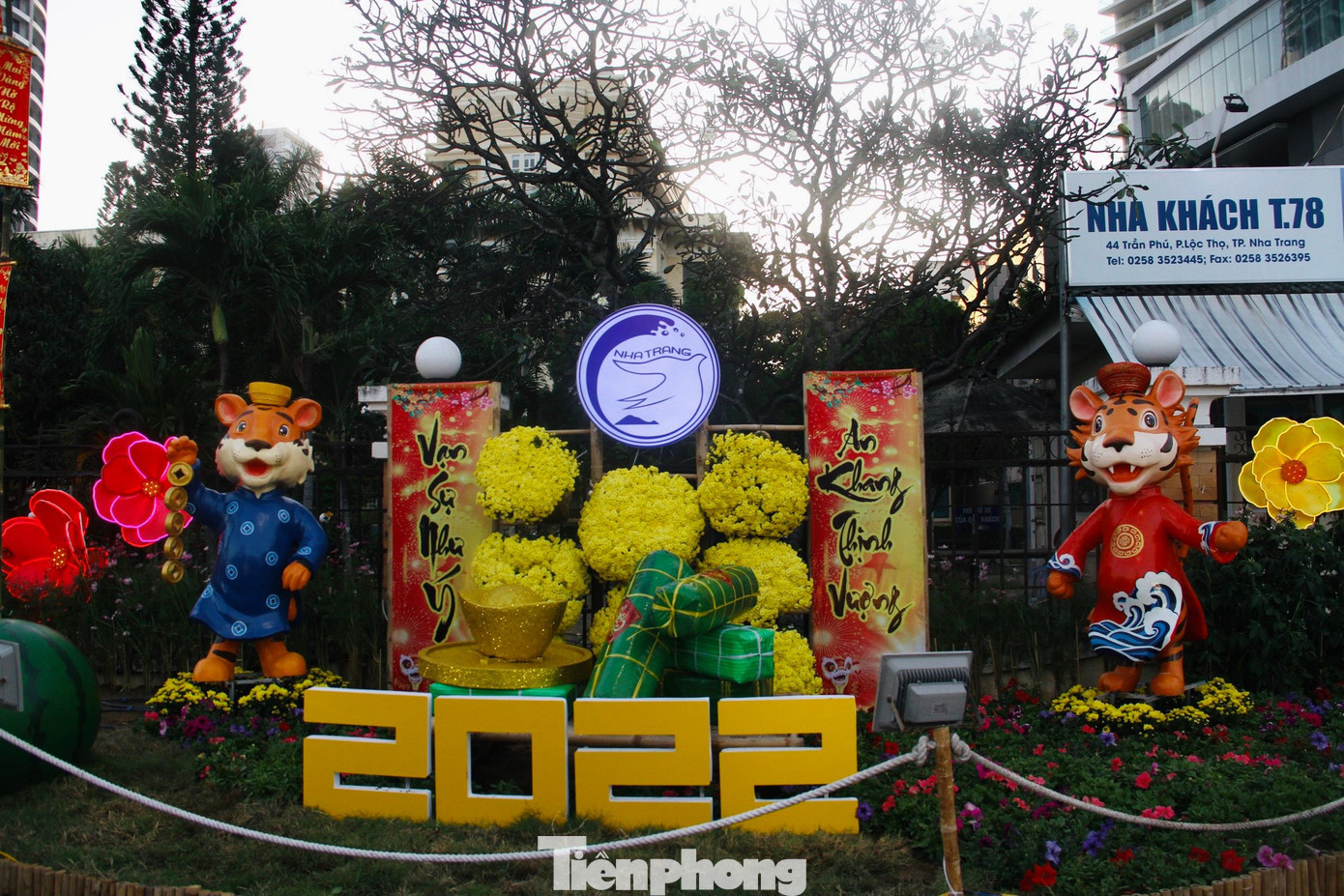 Hình ảnh "Chúa sơn lâm" vui nhộn, đáng yêu tại phố biển Nha Trang