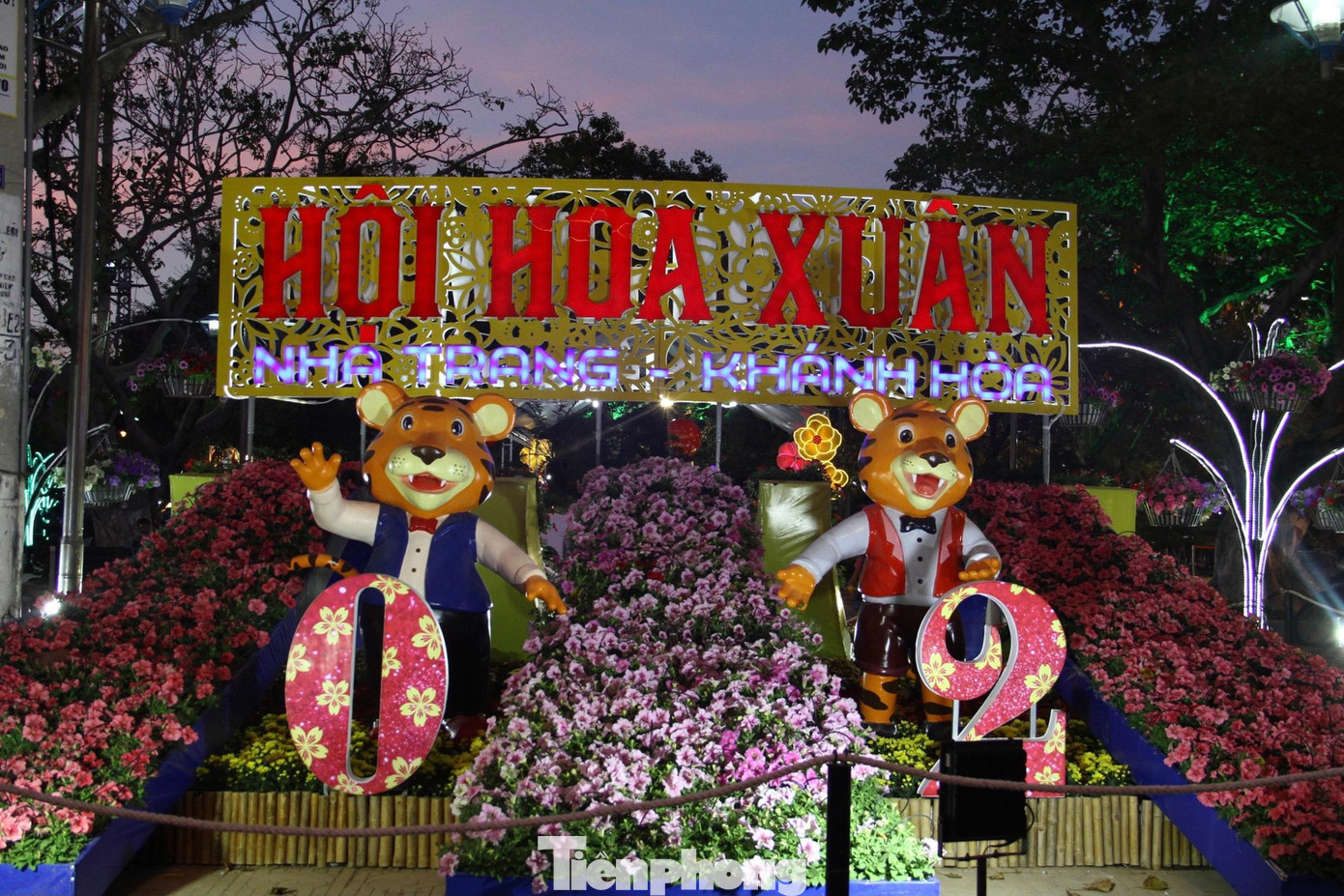 Linh vật hổ đáng yêu tại Hội hoa xuân Nha Trang - Khánh Hoà