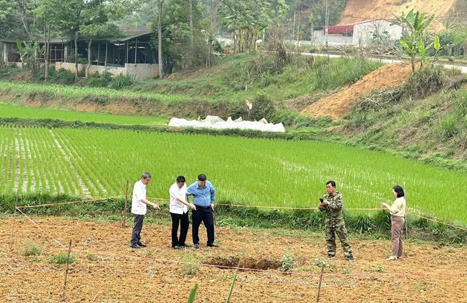 "Hố tử thần" mới xuất hiện trên một thửa ruộng. "Hố tử thần" mới xuất hiện trên một thửa ruộng.