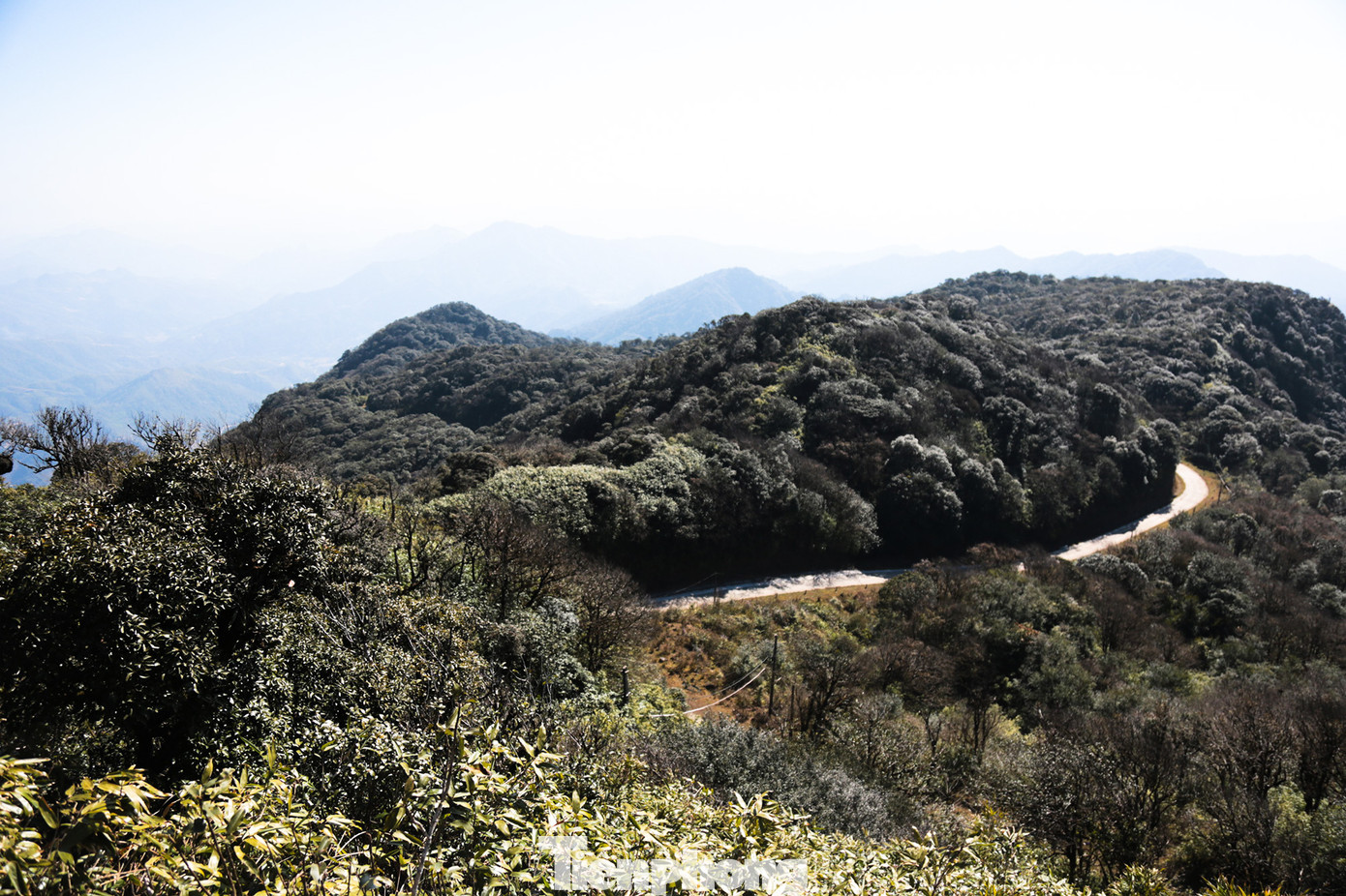 Cảnh quan ở Phia Oắc nổi bật với những cánh rừng lùn, rừng rêu, các dãy núi đất xen với núi đá.