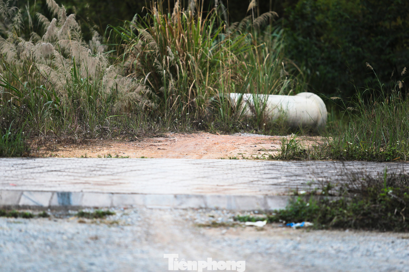 Người dân sống khu vực phía đông của dự án hàng ngày vẫn di chuyển xe máy qua đất khu đô thị. Một vài ống cống được đặt trên đường để ngăn các xe lớn.