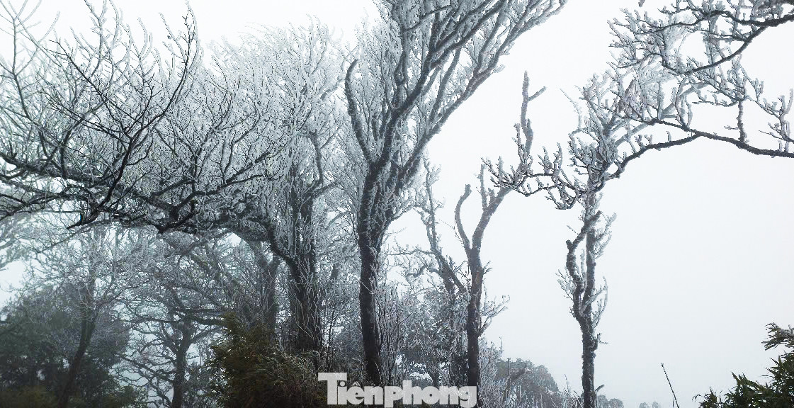 Băng giá xuất hiện trên đỉnh Phia Oắc (Cao Bằng). Băng giá xuất hiện trên đỉnh Phia Oắc (Cao Bằng).