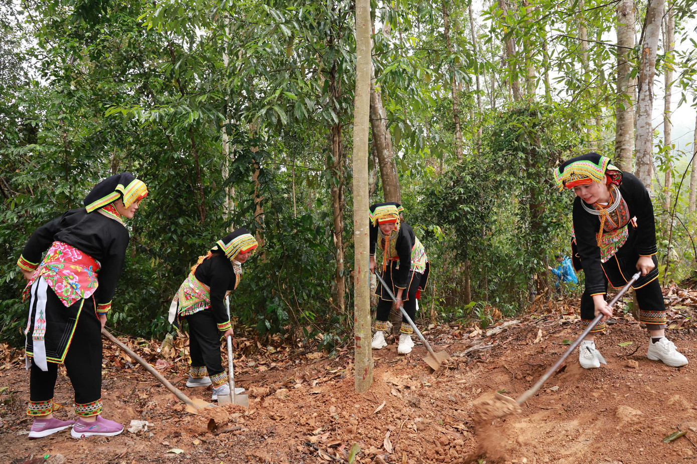 Nhân dân địa phương cũng hưởng ứng tích cực việc trồng cây, gây rừng. Nhân dân địa phương cũng hưởng ứng tích cực việc trồng cây, gây rừng.