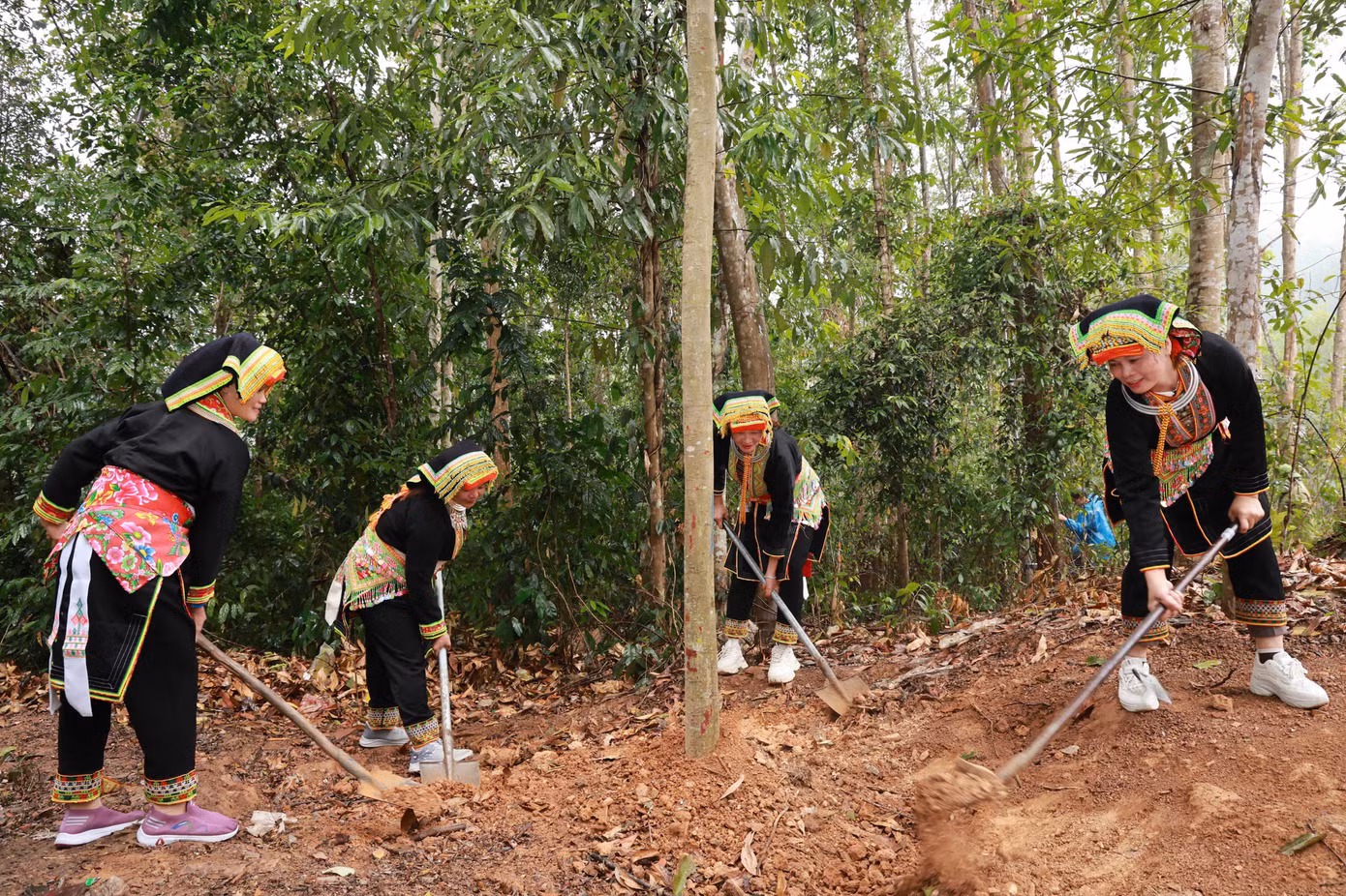 Nhân dân địa phương cũng hưởng ứng tích cực việc trồng cây, gây rừng. Nhân dân địa phương cũng hưởng ứng tích cực việc trồng cây, gây rừng.