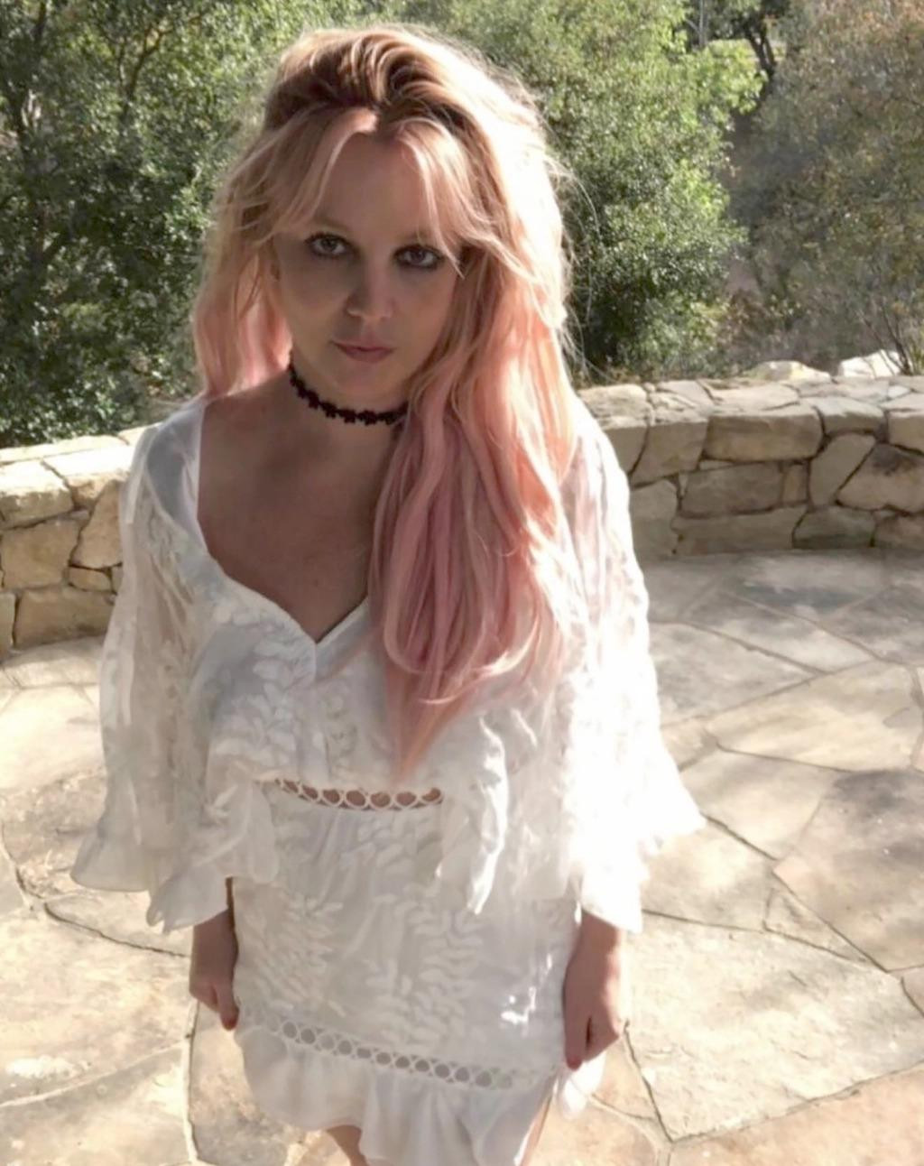 Britney cho rằng hai con trai đã có những hành động thô lỗ và ghét bỏ cô.