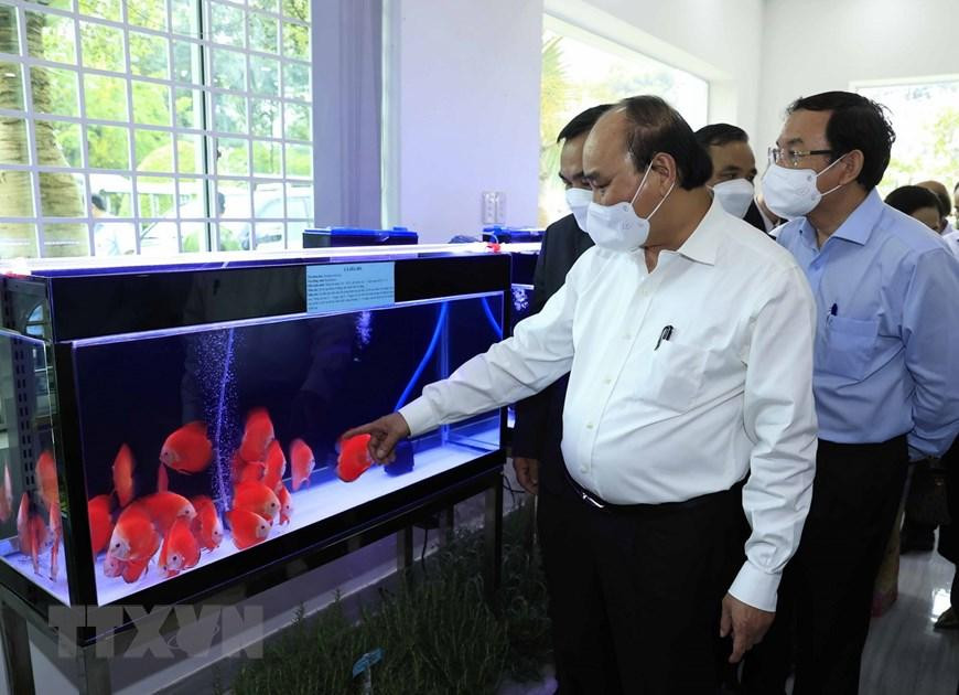 Một mô hình nuôi cá tại khu Nông nghiệp công nghệ cao TPHCM. (Ảnh: Thống Nhất/TTXVN) Một mô hình nuôi cá tại khu Nông nghiệp công nghệ cao TPHCM. (Ảnh: Thống Nhất/TTXVN)