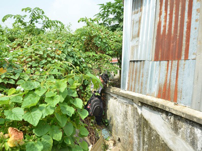 Khu vực mái tôn bên phải chính là ngôi nhà mà nhóm công nhân của anh H. thi công và phát hiện ra vụ bạo hành trẻ em