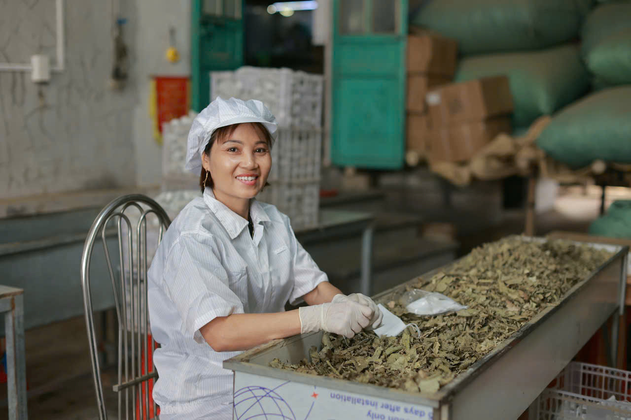 Nhiều bà con tại huyện Thanh Hà, Hải Dương cũng có thêm thu nhập nhờ xưởng sản xuất của chị Lan.