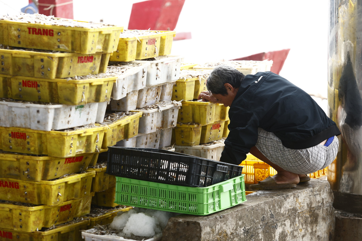 Trình học nhanh từ người cha, cũng là thuyền trưởng dày dạn kinh nghiệm ra khơi.