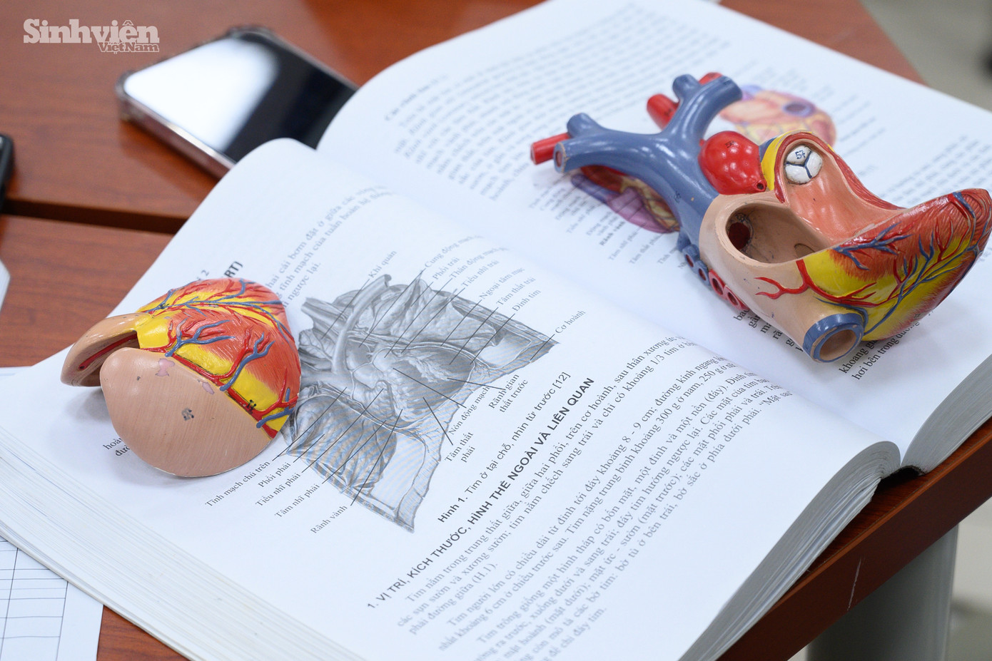 Đức cùng các sinh viên học lý thuyết qua những mô hình trực quan và những quyển giáo trình dày cộp.