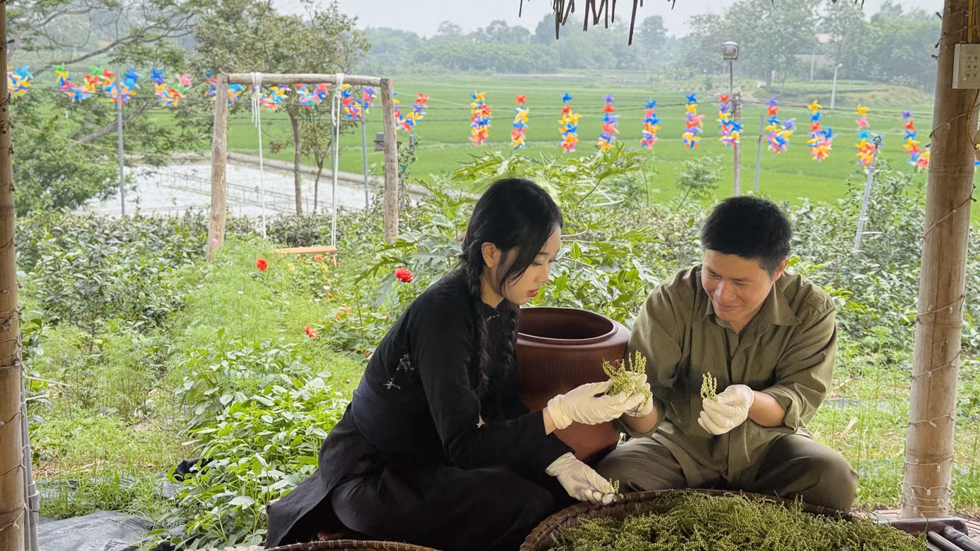 Mỗi mẻ trà được ướp hoa từ bảy đến chín lần người làm trà phải canh đúng thời điểm để hương hoa thấm sâu vào từng sợi chè. Mỗi mẻ trà được ướp hoa từ bảy đến chín lần người làm trà phải canh đúng thời điểm để hương hoa thấm sâu vào từng sợi chè.