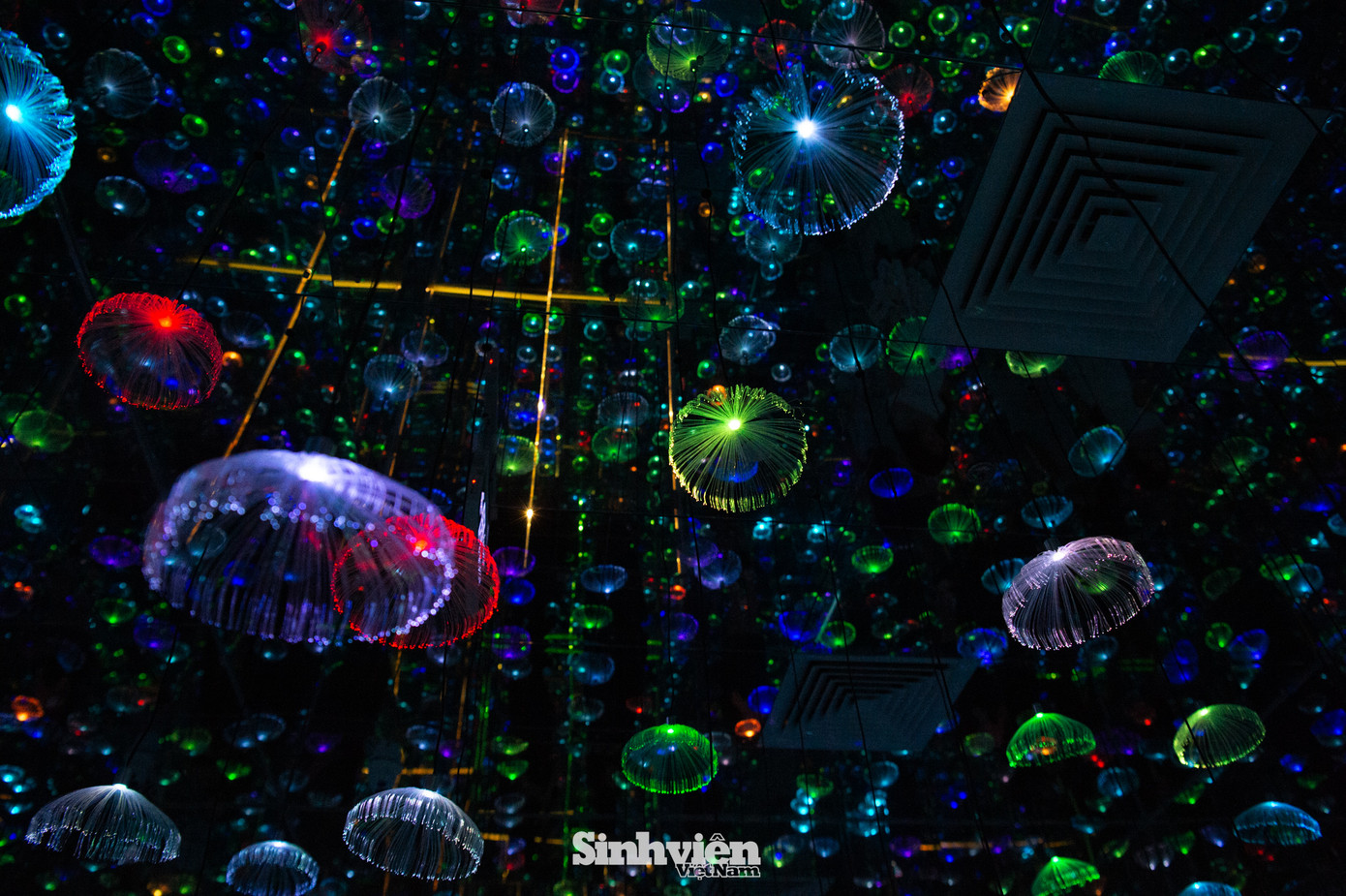 Triển lãm Nghệ thuật Ánh sáng - Starry Sky Art Museum ở tầng hầm B2 Vincom Mega Mall Royal City (Thanh Xuân, Hà Nội) đang "gây sốt" trên mạng xã hội, thu hút đông đảo du khách trẻ đến check-in và tham quan.