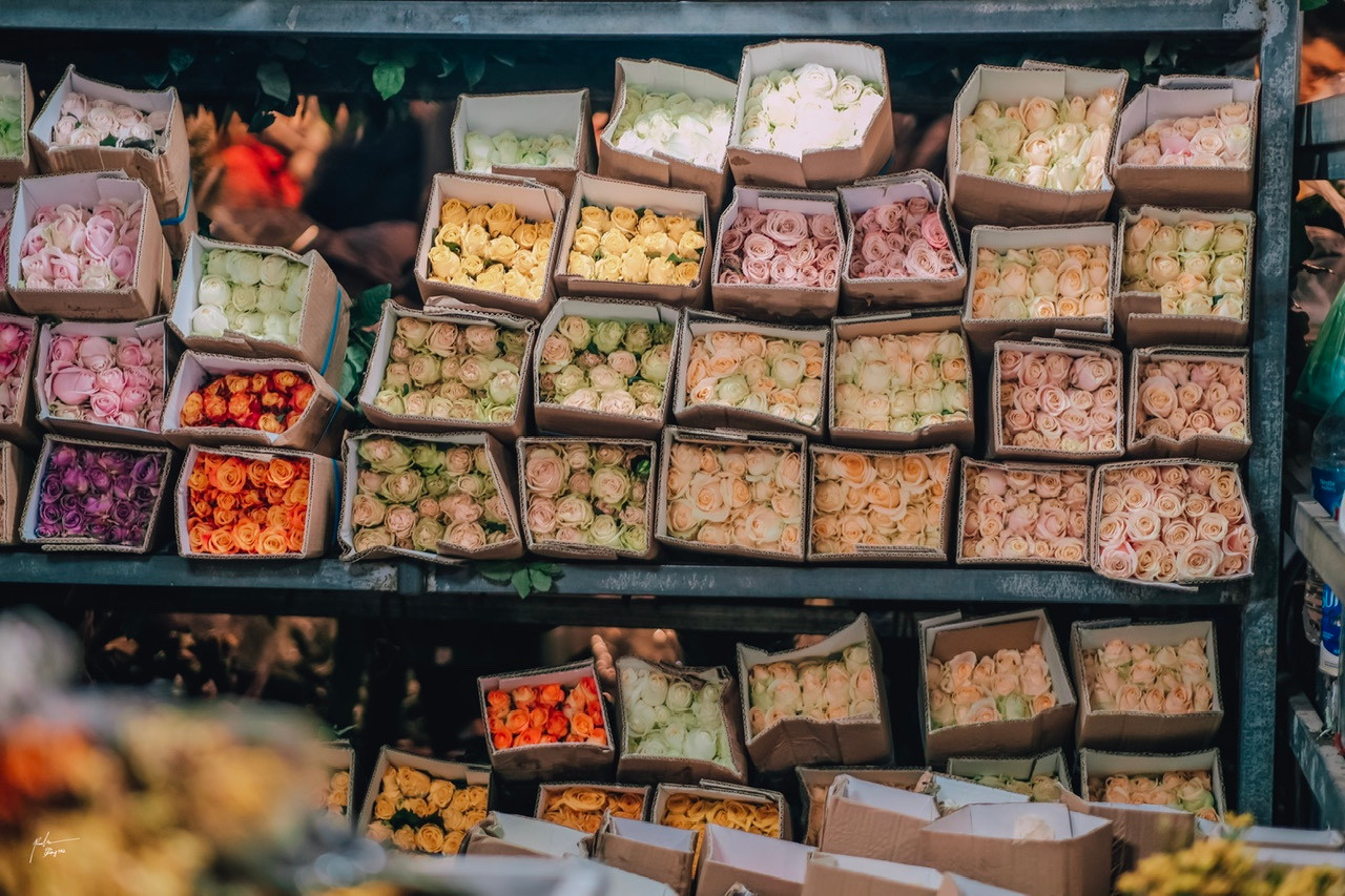 Giá hoa hồng từ 140-250 nghìn đồng/bó 10 bông và giá hoa hồng lẻ từ 13-20 nghìn đồng/bông.