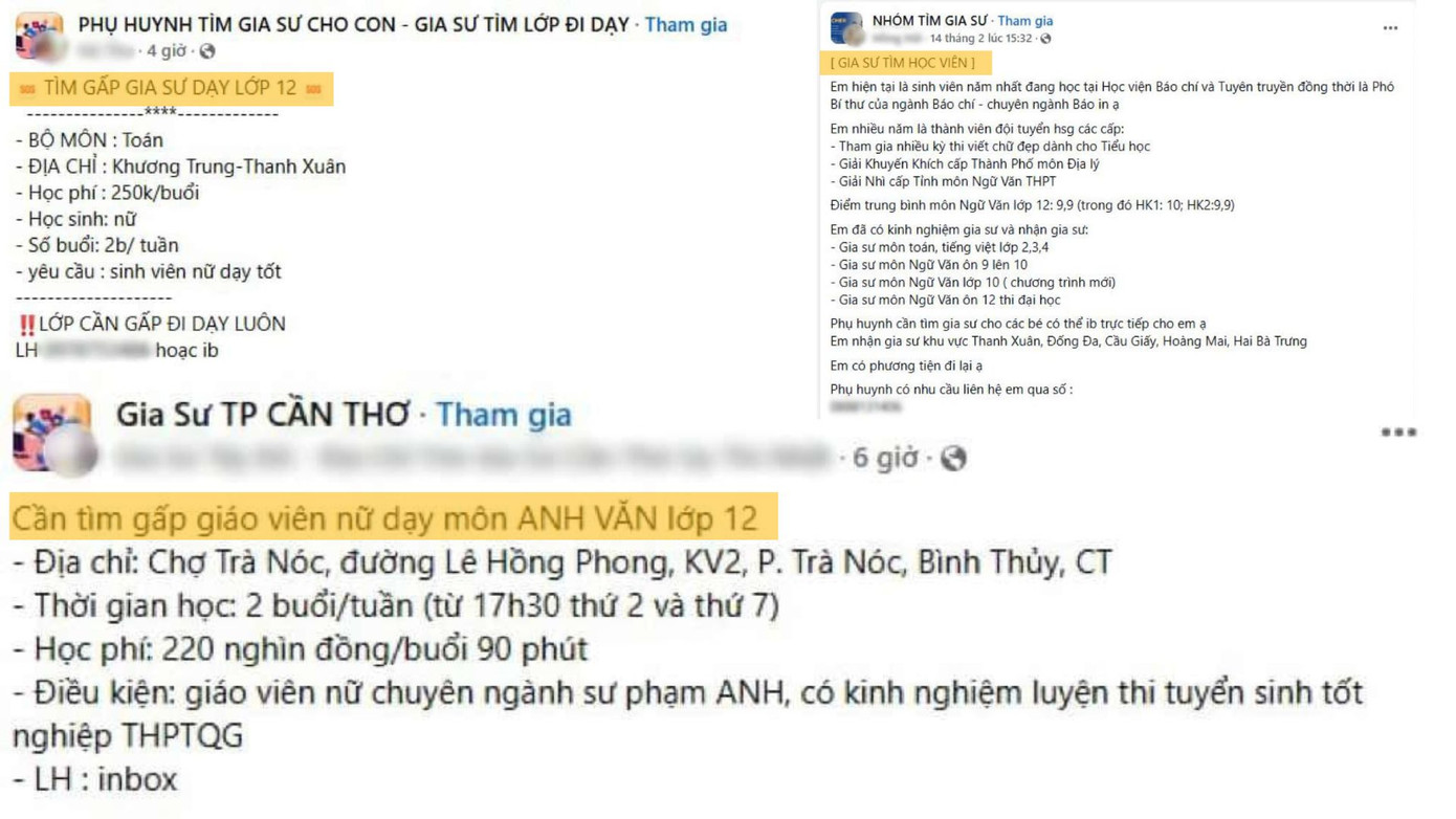 Những bài viết về việc tìm gia sư xuất hiện dày đặc trên mạng xã hội. (ảnh chụp màn hình) Những bài viết về việc tìm gia sư xuất hiện dày đặc trên mạng xã hội. (ảnh chụp màn hình)