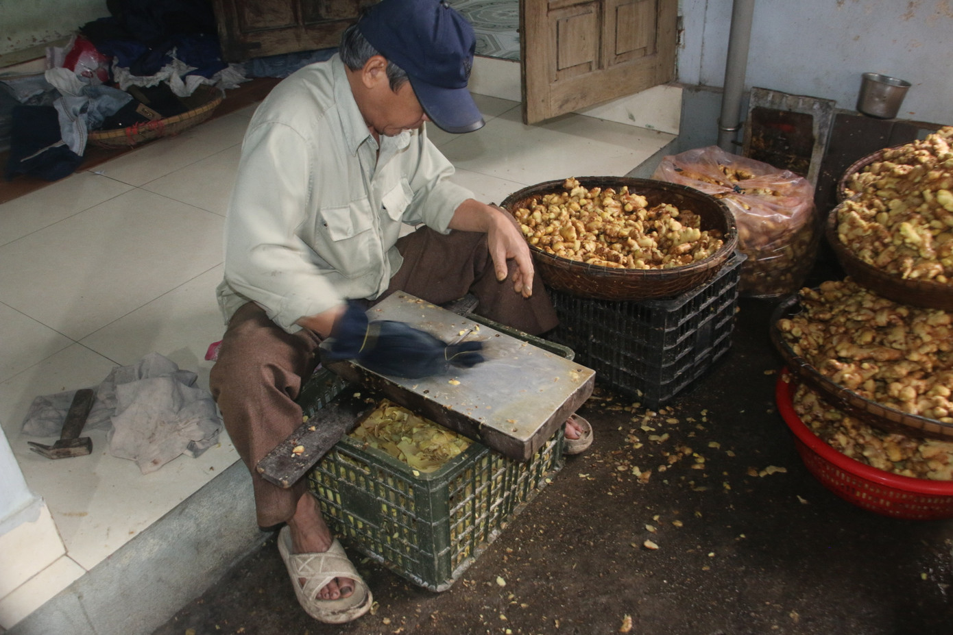 Người thợ tỉ mỉ khi bào mỏng gừng - một công đoạn trong quá trình làm mứt.