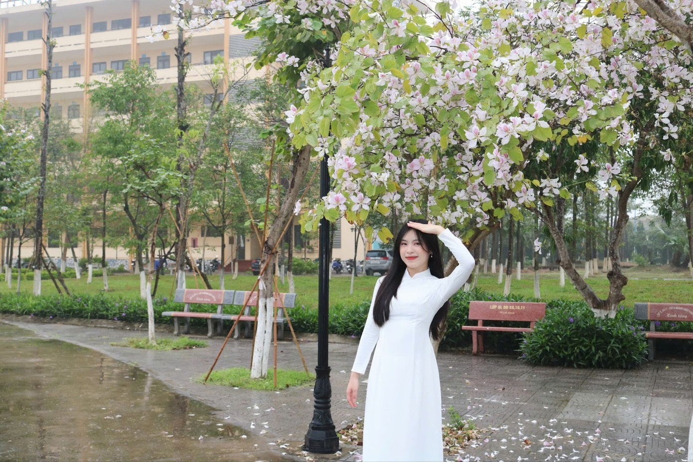 Với sinh viên Trường Đại học Thành Đông, hoa ban không chỉ là một loài hoa đẹp mà còn là biểu tượng của những năm tháng tuổi trẻ. Đó là sắc hoa chứng kiến những buổi sáng vội vã đến lớp, những chiều muộn thảnh thơi dạo bước hay những ngày ngồi lặng lẽ bên gốc cây, nhìn hoa bay trong nắng và chợt nghĩ về tương lai.