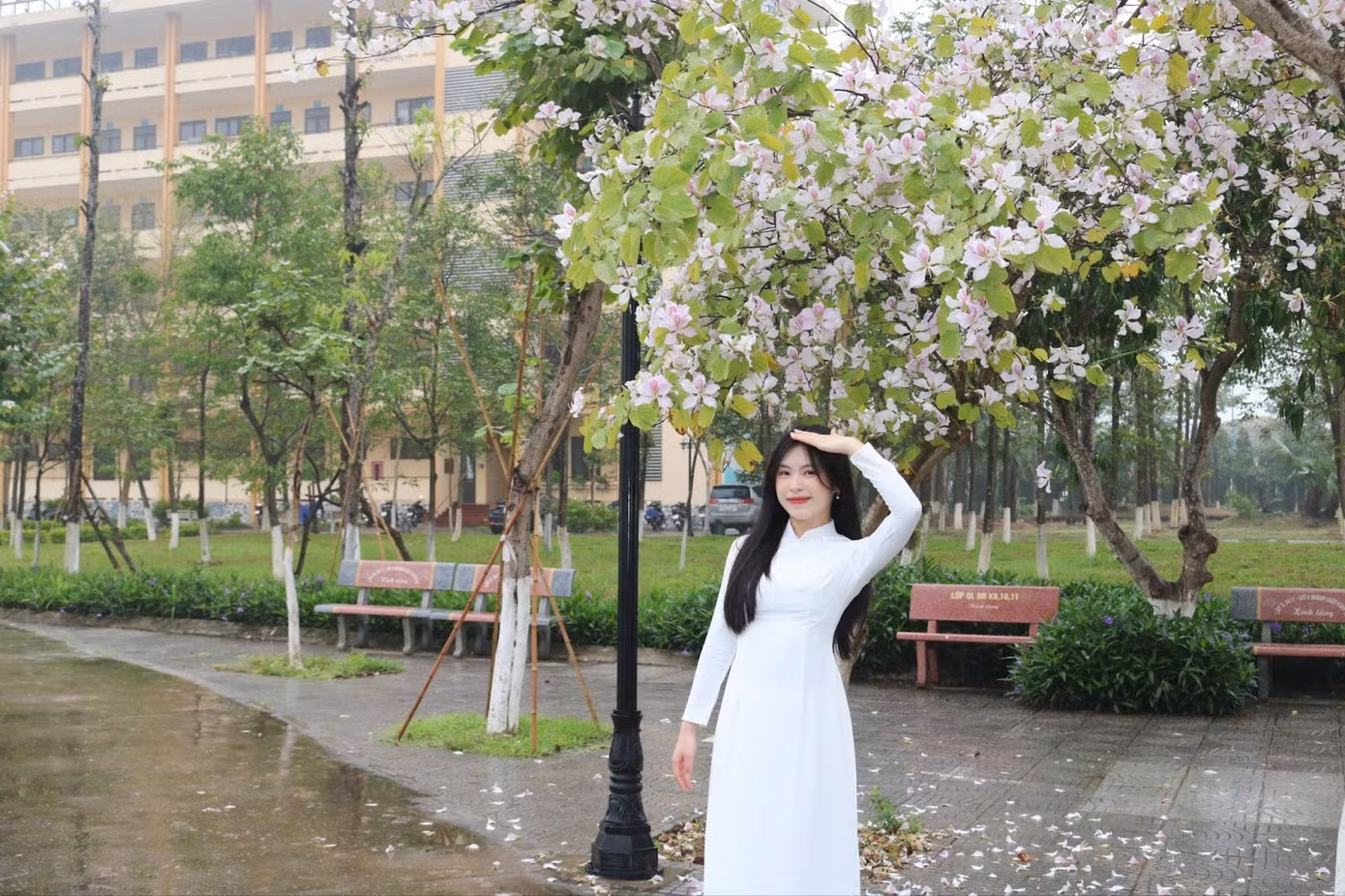 Với sinh viên Trường Đại học Thành Đông, hoa ban không chỉ là một loài hoa đẹp mà còn là biểu tượng của những năm tháng tuổi trẻ. Đó là sắc hoa chứng kiến những buổi sáng vội vã đến lớp, những chiều muộn thảnh thơi dạo bước hay những ngày ngồi lặng lẽ bên gốc cây, nhìn hoa bay trong nắng và chợt nghĩ về tương lai.