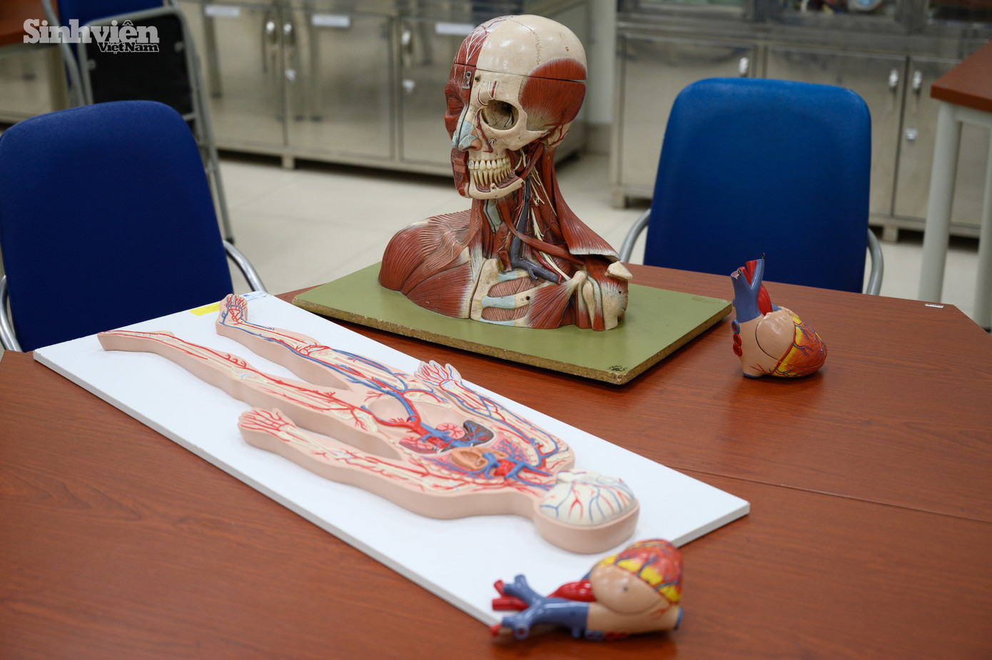 Đức cùng các sinh viên học lý thuyết qua những mô hình trực quan và những quyển giáo trình dày cộp.