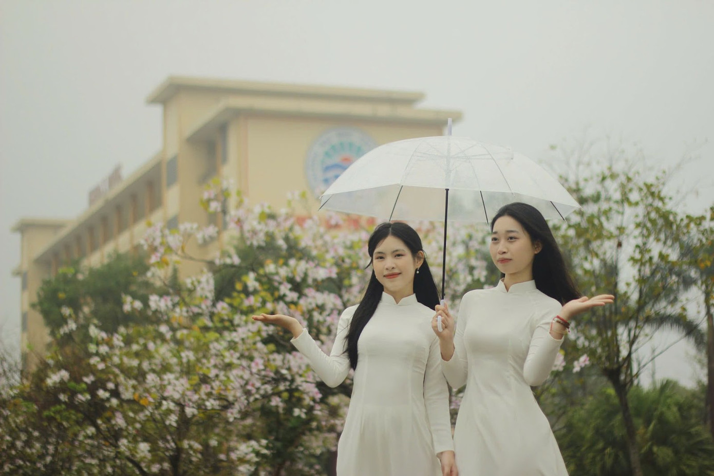 Hoa ban rồi sẽ tàn, mùa hoa rồi cũng sẽ qua, nhưng những ký ức về những năm tháng thanh xuân ấy sẽ còn mãi. Như những cánh hoa tung bay trong gió, tuổi trẻ cũng một đi không trở lại, nhưng những gì đẹp đẽ nhất luôn nằm sâu trong trái tim mỗi người.