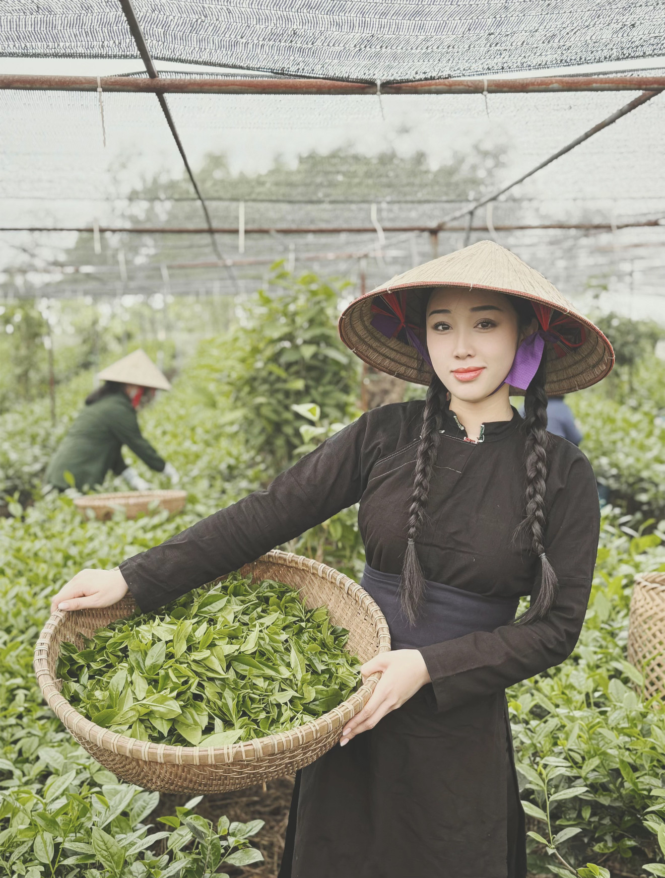Giang tự hào được là người trẻ kể chuyện về trà bằng lăng kính hiện đại để văn hóa truyền thống lan tỏa đến thế hệ hôm nay. Giang tự hào được là người trẻ kể chuyện về trà bằng lăng kính hiện đại để văn hóa truyền thống lan tỏa đến thế hệ hôm nay.