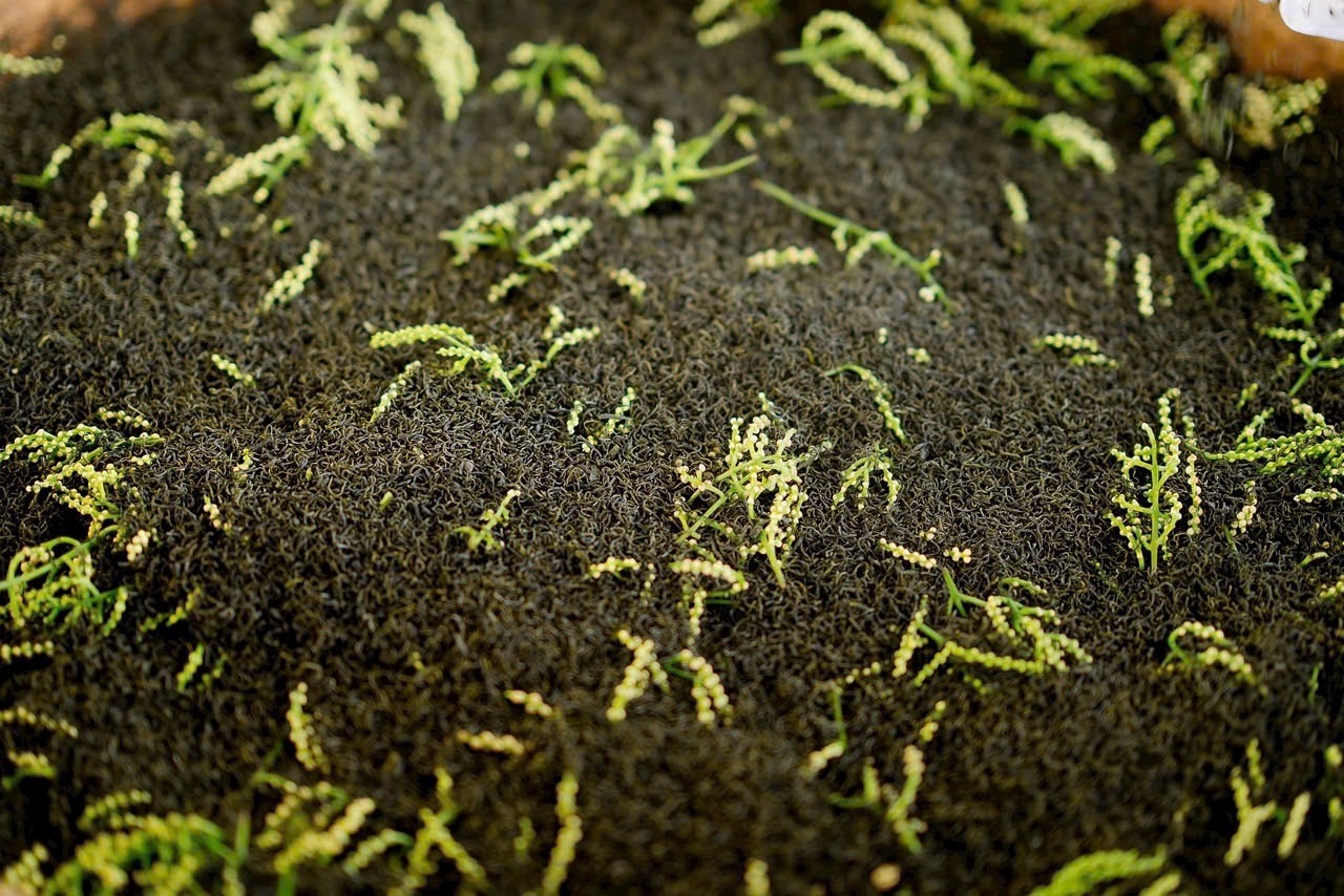 Mỗi búp chè, mỗi cánh hoa là kết tinh của đất trời và bàn tay con người. Mỗi búp chè, mỗi cánh hoa là kết tinh của đất trời và bàn tay con người.