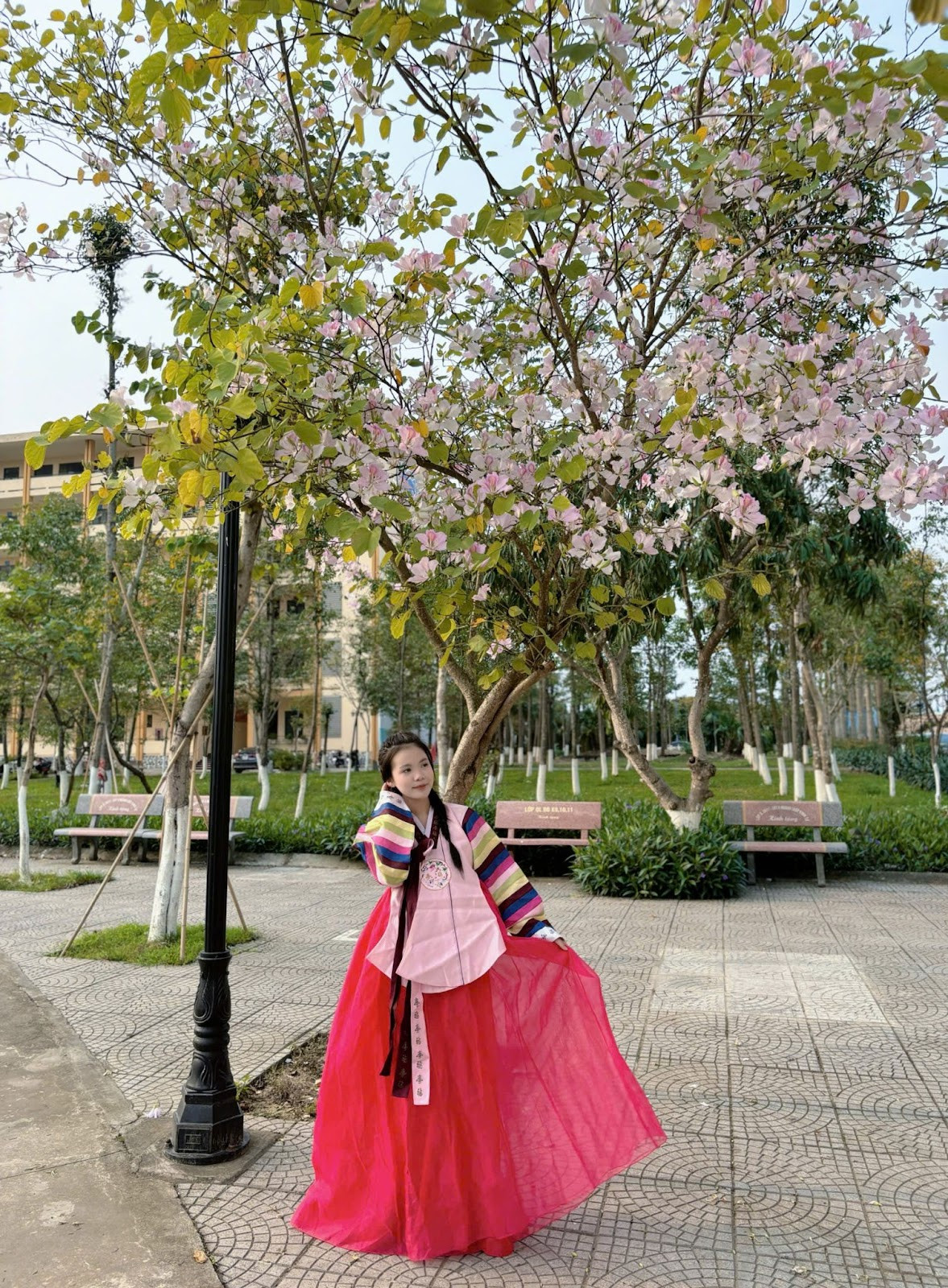 Hoa ban nở rồi tàn, mỗi mùa hoa đi qua cũng là lúc một thế hệ sinh viên trưởng thành, mang theo những ước mơ, hoài bão bước vào đời.