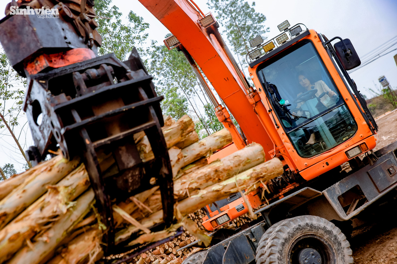 Sự khác biệt này khiến Hậu nhận được nhiều sự chú ý và đôi khi là những ý kiến trái chiều từ mọi người xung quanh. "Lúc đầu thấy mình lái máy, mọi người bất ngờ, họ bảo sao con gái mà lại đi làm hết việc của con trai thế này, rồi nhà thuê người làm tại sao để con gái ra làm... Nhưng sau một thời gian, thấy mình làm được, nhiều cô chú khen mình giỏi, mạnh mẽ". - Hậu tâm sự. Thi thoảng mình cũng có quay một vài video để đăng lên TikTok, ngoài những lời khen thì cũng có rất nhiều anh bình luận những điều không hay, nhưng mình không quan tâm nhiều, tính mình là vậy, mình thấy nhà có công việc thì làm giúp đỡ bố mẹ thôi."