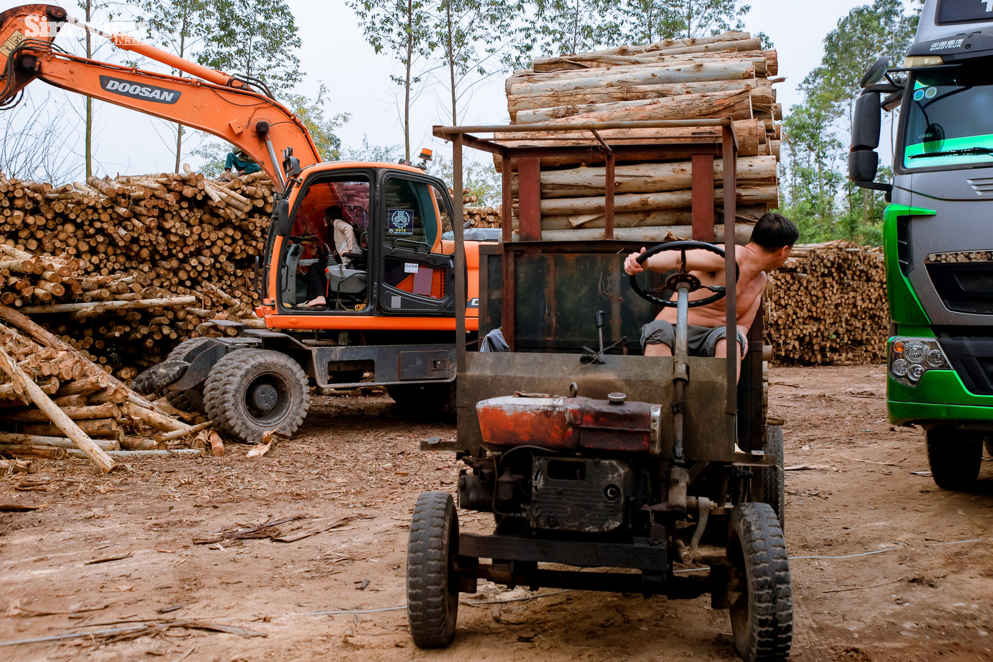Với nghề làm ván bóc, ngày của Hậu bắt đầu từ sáng sớm với việc lái xe đi mua ván. Trưa đến, cô tranh thủ về phụ giúp bố lái máy xúc, gắp gỗ. Buổi chiều, Hậu lại tiếp tục công việc mua ván. Với những hôm có xe hàng về nhiều, Hậu phụ giúp bố mẹ gắp gỗ đến tối muộn.