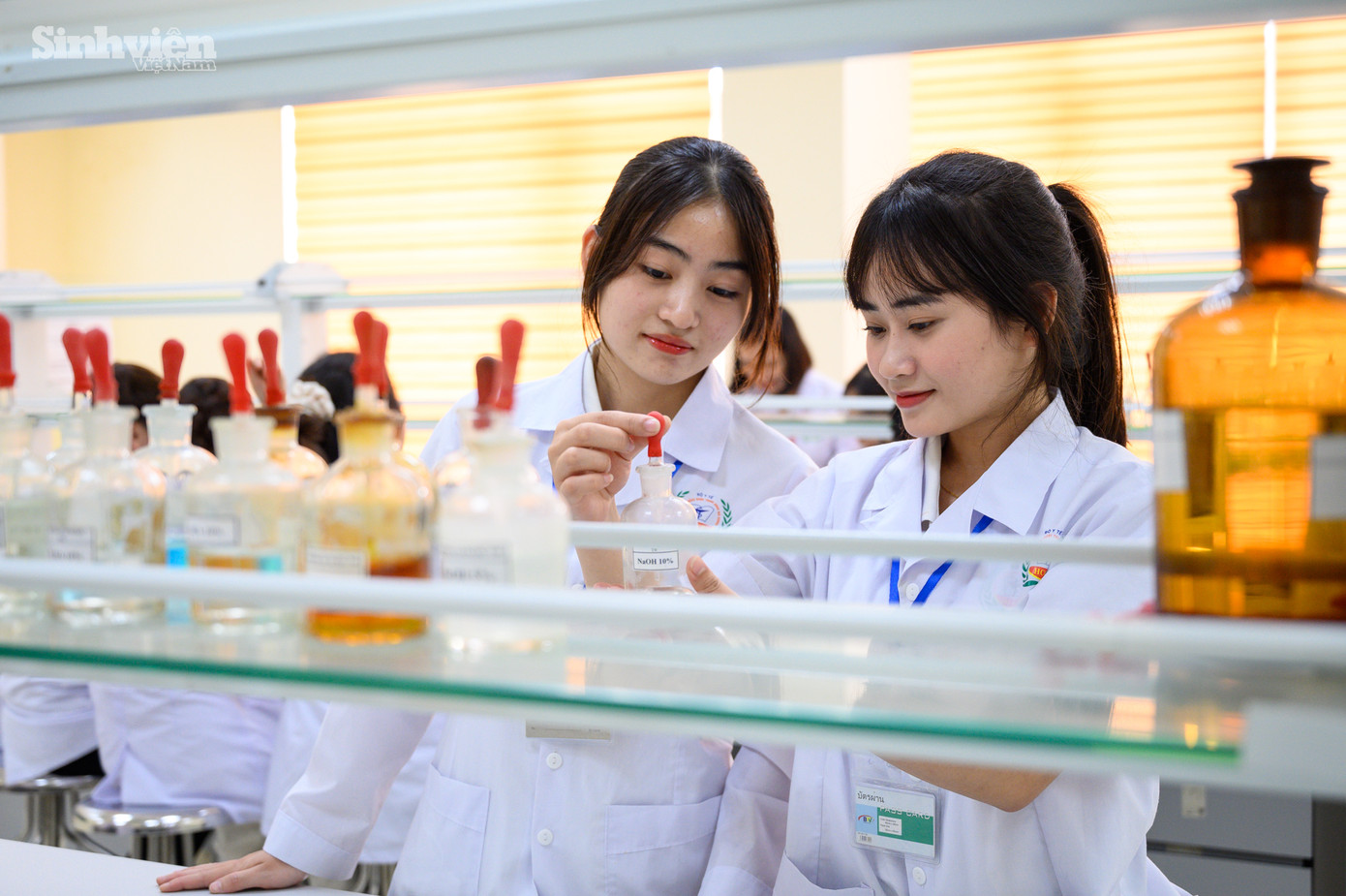 Sinh viên thích thú với các hoạt động học tập, nghiên cứu tại hệ phòng thí nghiệm hiện đại. Sinh viên thích thú với các hoạt động học tập, nghiên cứu tại hệ phòng thí nghiệm hiện đại.