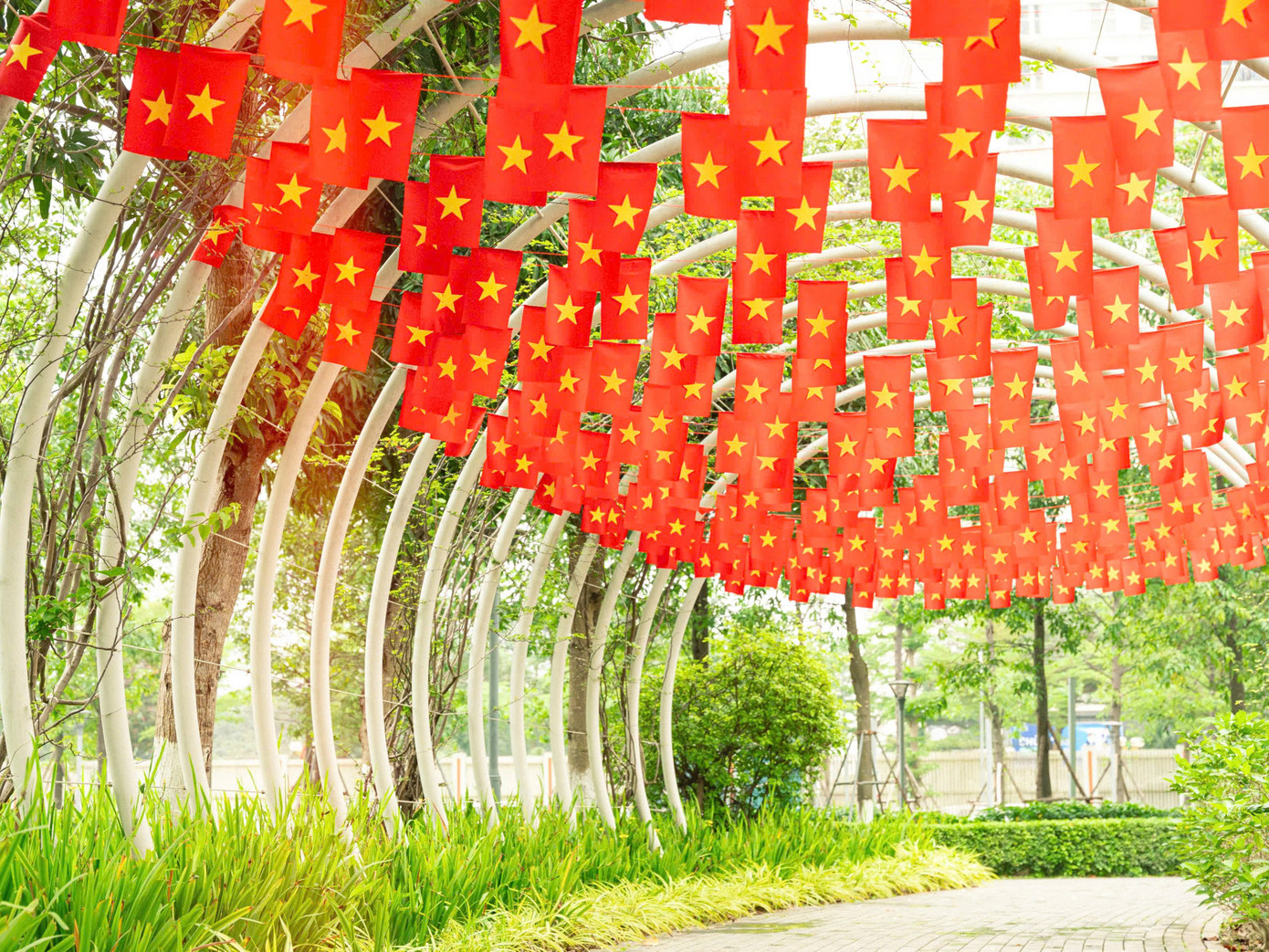 Sau chiến dịch, những lá cờ sẽ tiếp tục hành trình đến tay các chiến sĩ biên phòng, tiếp sức tinh thần nơi biên cương Tổ quốc. Sau chiến dịch, những lá cờ sẽ tiếp tục hành trình đến tay các chiến sĩ biên phòng, tiếp sức tinh thần nơi biên cương Tổ quốc.