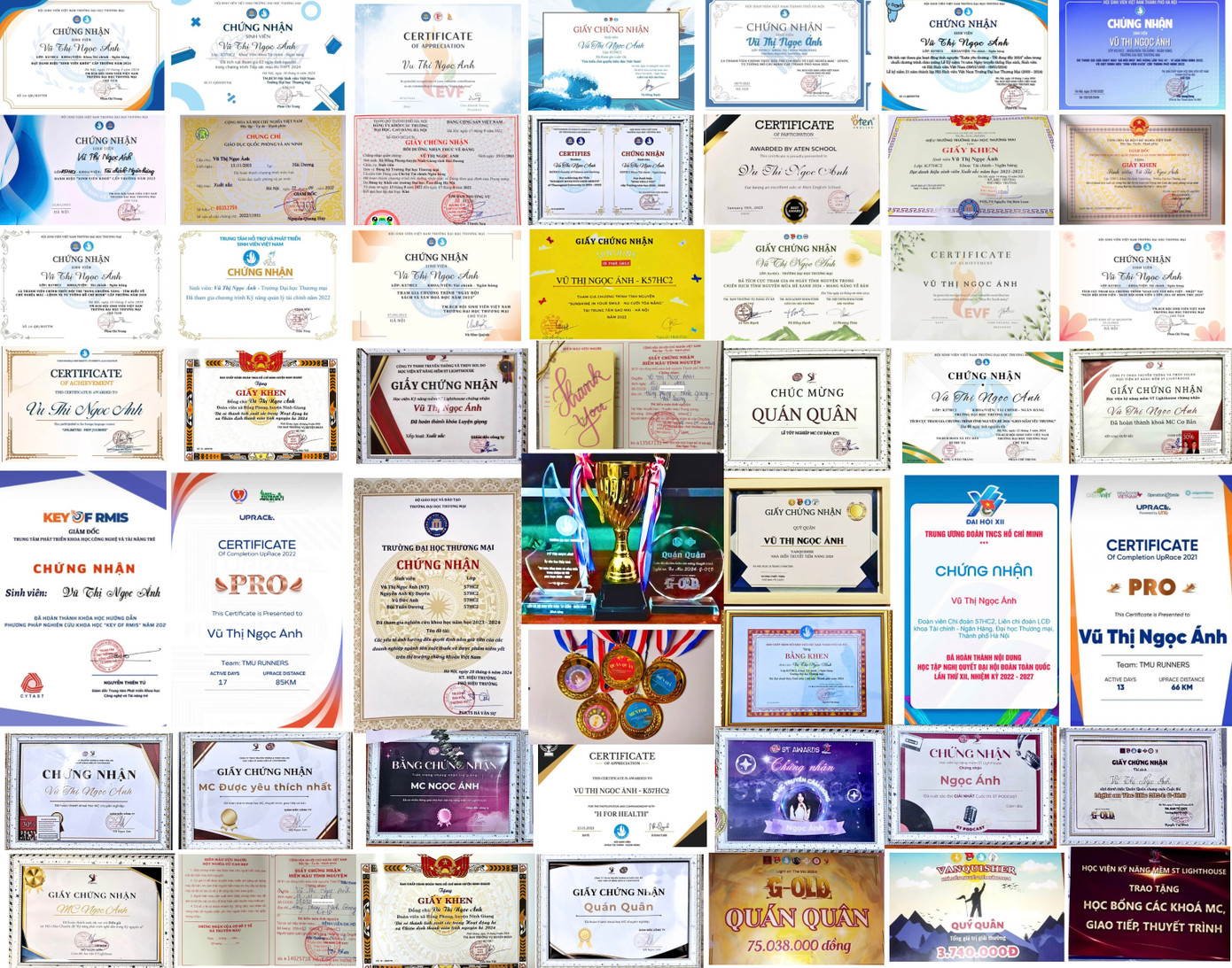 Bảng thành tích đáng ngưỡng mộ của Ngọc Ánh. Bảng thành tích đáng ngưỡng mộ của Ngọc Ánh.