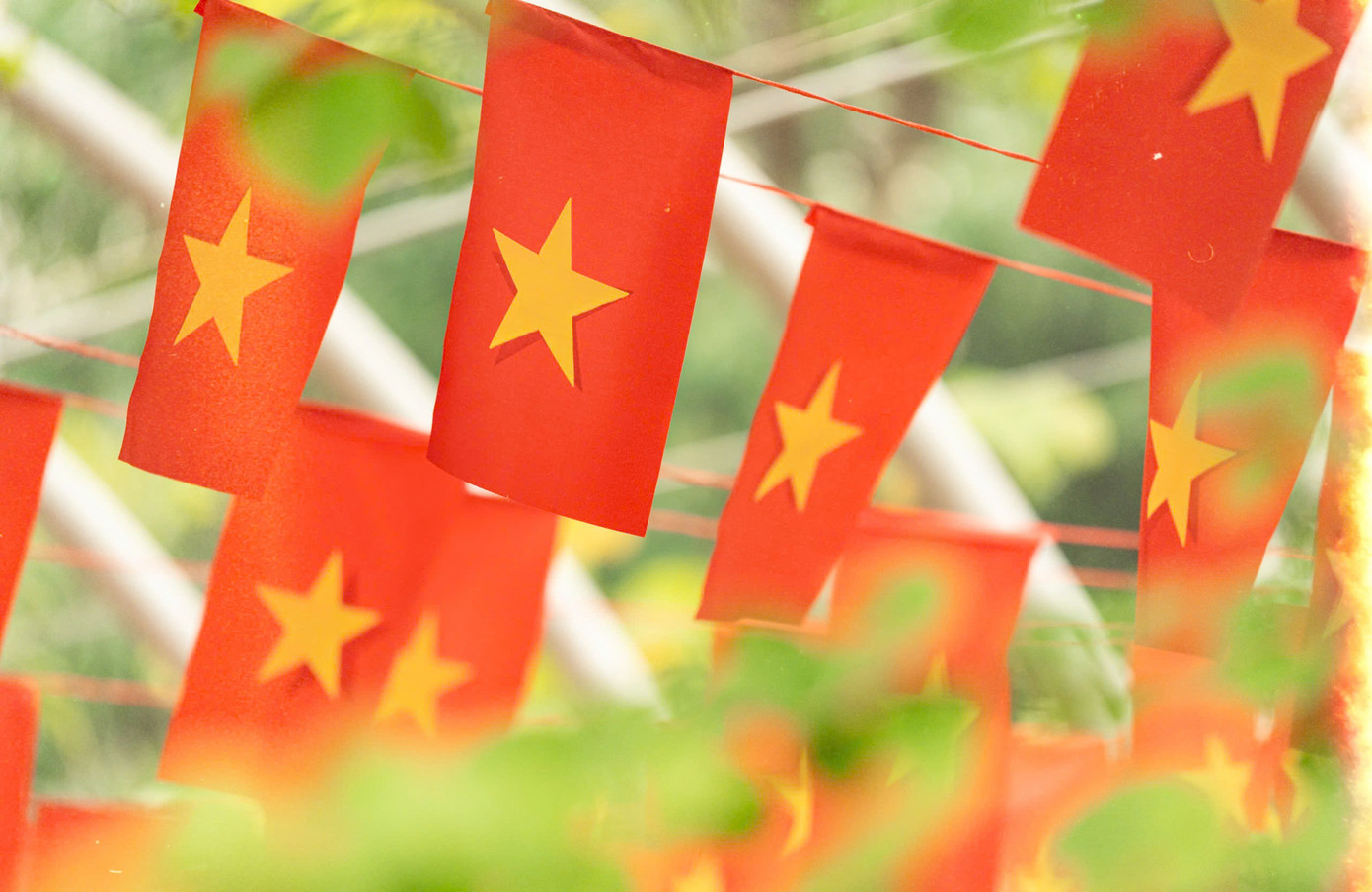 Ngàn lá cờ, triệu trái tim: Đại học Phenikaa rực rỡ sắc đỏ chào mừng 50 năm Giải phóng miền Nam, thống nhất đất nước ảnh 8