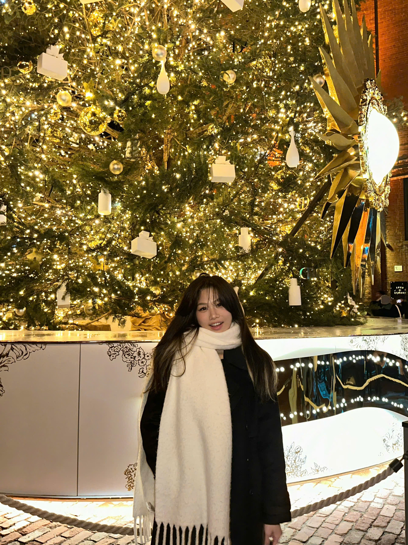 Lê Cẩm Vân hiện đang là sinh viên năm 3 trường Đại học Toronto - Toronto Metropolitan University, Canada.