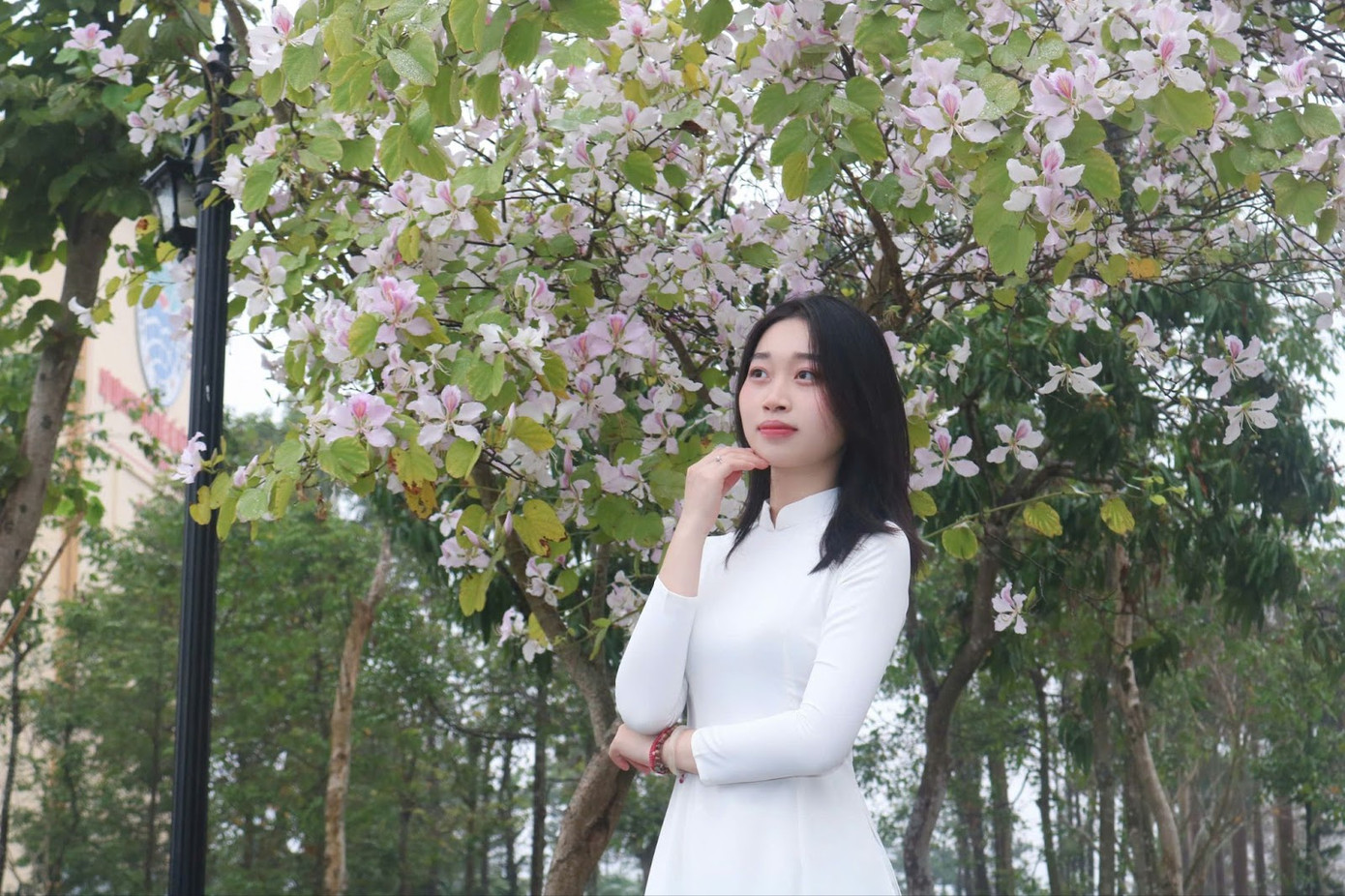 Tà áo dài trắng hòa cùng sắc hoa ban. Trong sắc hoa ấy, ánh mắt sinh viên ánh lên niềm hy vọng, những ước mơ đang dần chắp cánh bay xa.