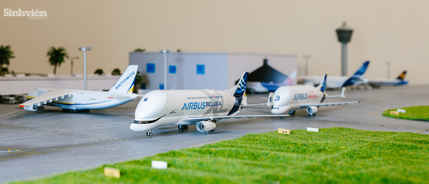 Trong số 200 mô hình, Dương dành tình cảm đặc biệt cho chiếc Airbus Beluga XL 6. "Đây là một mẫu máy bay rất đặc biệt, được thiết kế theo hình dáng cá voi trắng Beluga, chuyên chở linh kiện cho hãng Airbus. Mình ấn tượng với sự độc đáo và tính năng của nó." - Dương chia sẻ. Ngoài ra, cậu còn tự hào giới thiệu về chiếc máy bay "độc nhất vô nhị" do bản thân thiết kế màu sơn và decal. "Mình muốn tạo ra một chiếc máy bay mang đậm dấu ấn cá nhân, không trùng lặp với bất kỳ ai." - Dương chia sẻ.