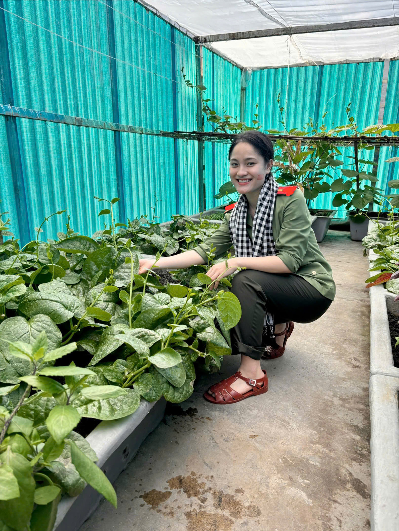 Ca sĩ Thu Lương tham quan vườn rau của các chiến sĩ trên đảo chìm. Ca sĩ Thu Lương tham quan vườn rau của các chiến sĩ trên đảo chìm.