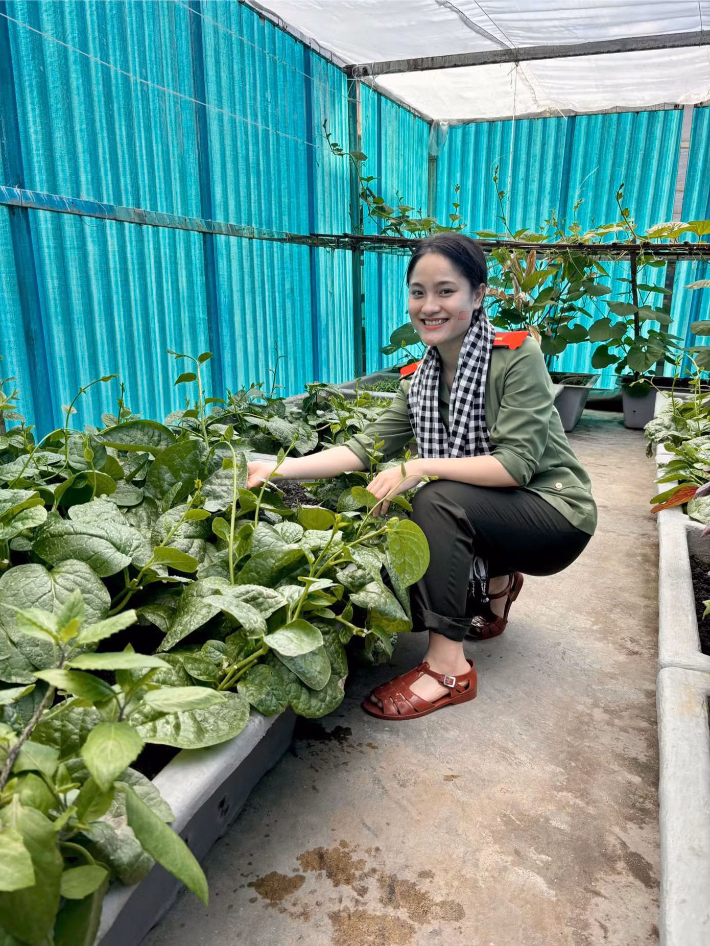 Ca sĩ Thu Lương tham quan vườn rau của các chiến sĩ trên đảo chìm. Ca sĩ Thu Lương tham quan vườn rau của các chiến sĩ trên đảo chìm.