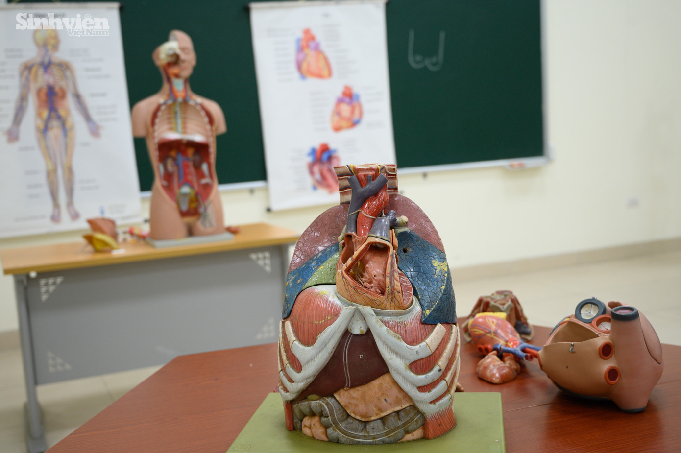 Đức cùng các sinh viên học lý thuyết qua những mô hình trực quan và những quyển giáo trình dày cộp.