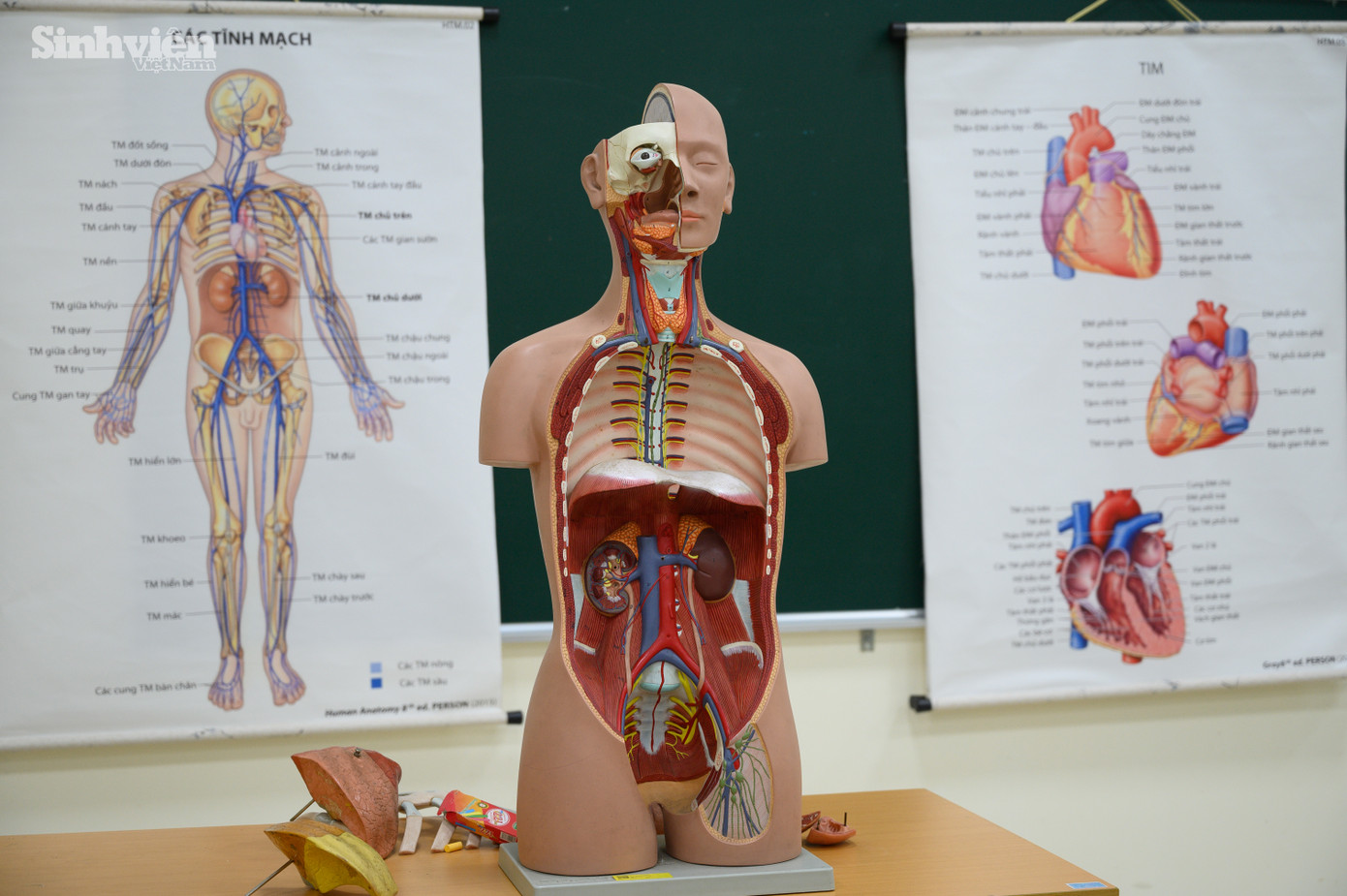 Đức cùng các sinh viên học lý thuyết qua những mô hình trực quan và những quyển giáo trình dày cộp.