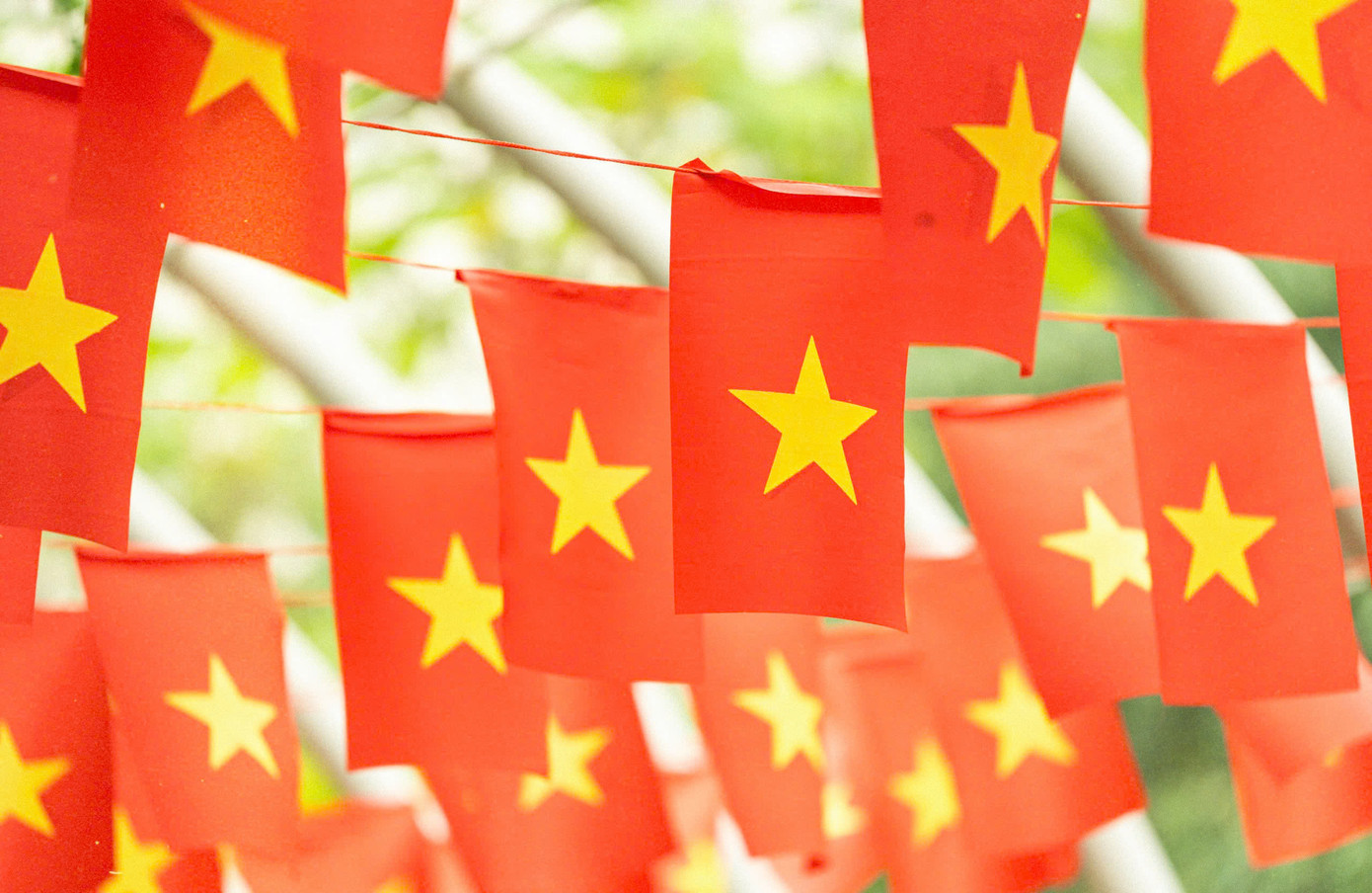 Ngàn lá cờ, triệu trái tim: Đại học Phenikaa rực rỡ sắc đỏ chào mừng 50 năm Giải phóng miền Nam, thống nhất đất nước ảnh 7 Ngàn lá cờ, triệu trái tim: Đại học Phenikaa rực rỡ sắc đỏ chào mừng 50 năm Giải phóng miền Nam, thống nhất đất nước ảnh 7