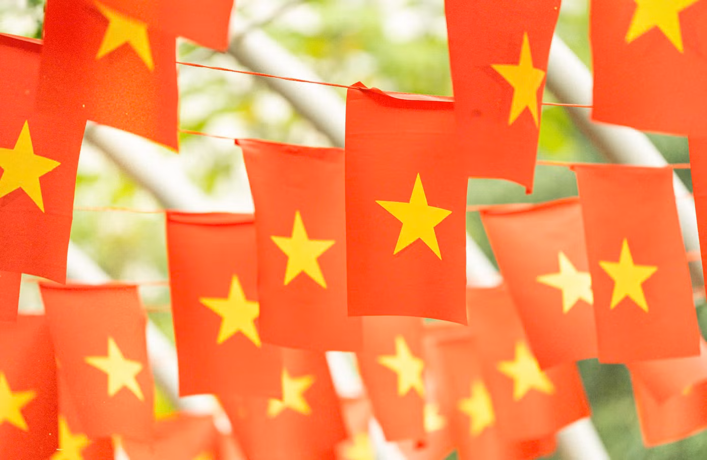Ngàn lá cờ, triệu trái tim: Đại học Phenikaa rực rỡ sắc đỏ chào mừng 50 năm Giải phóng miền Nam, thống nhất đất nước ảnh 7