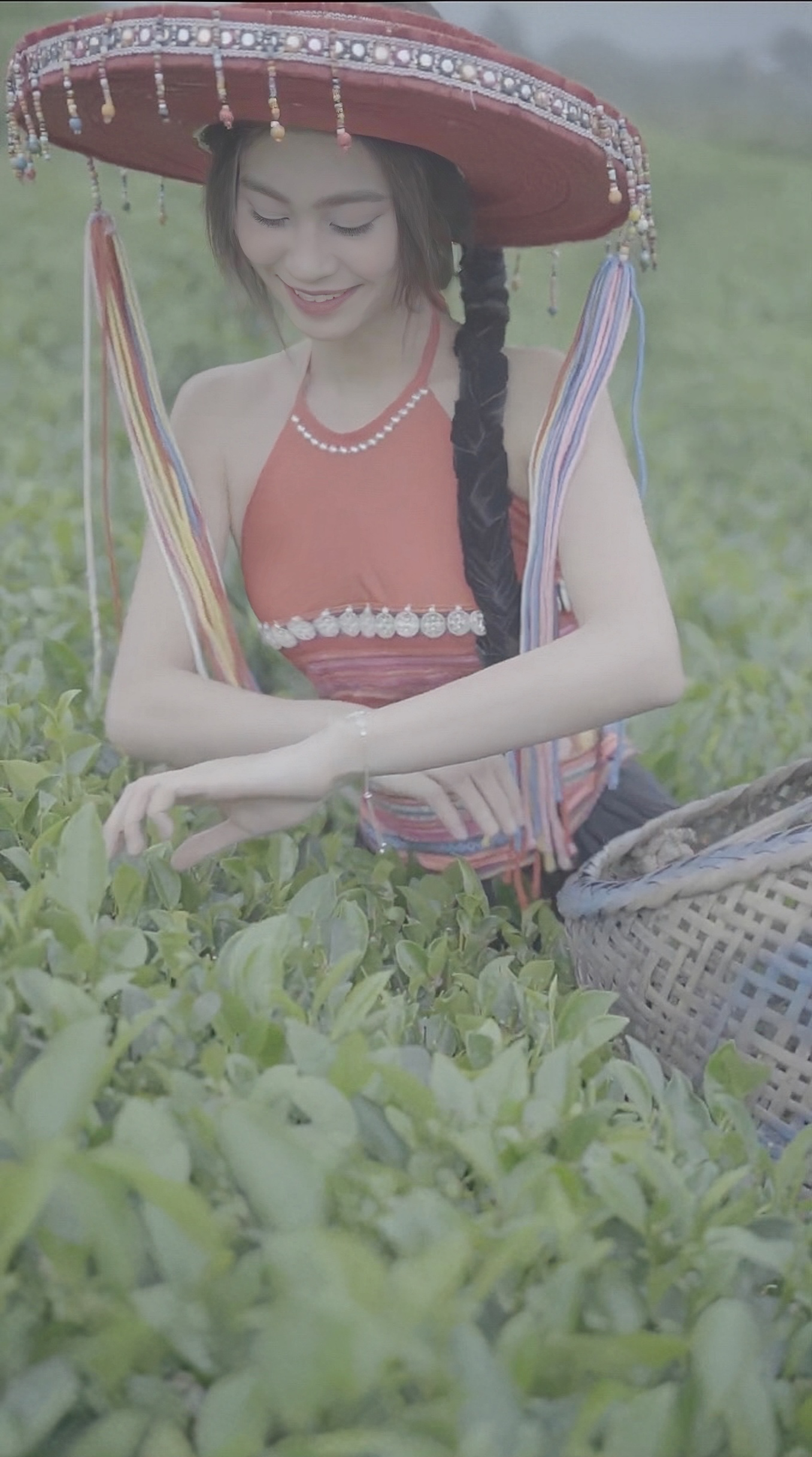 Trang thấu hiểu sự vất vả của những người phụ nữ trong gia đình và làng xóm với công việc hái chè.