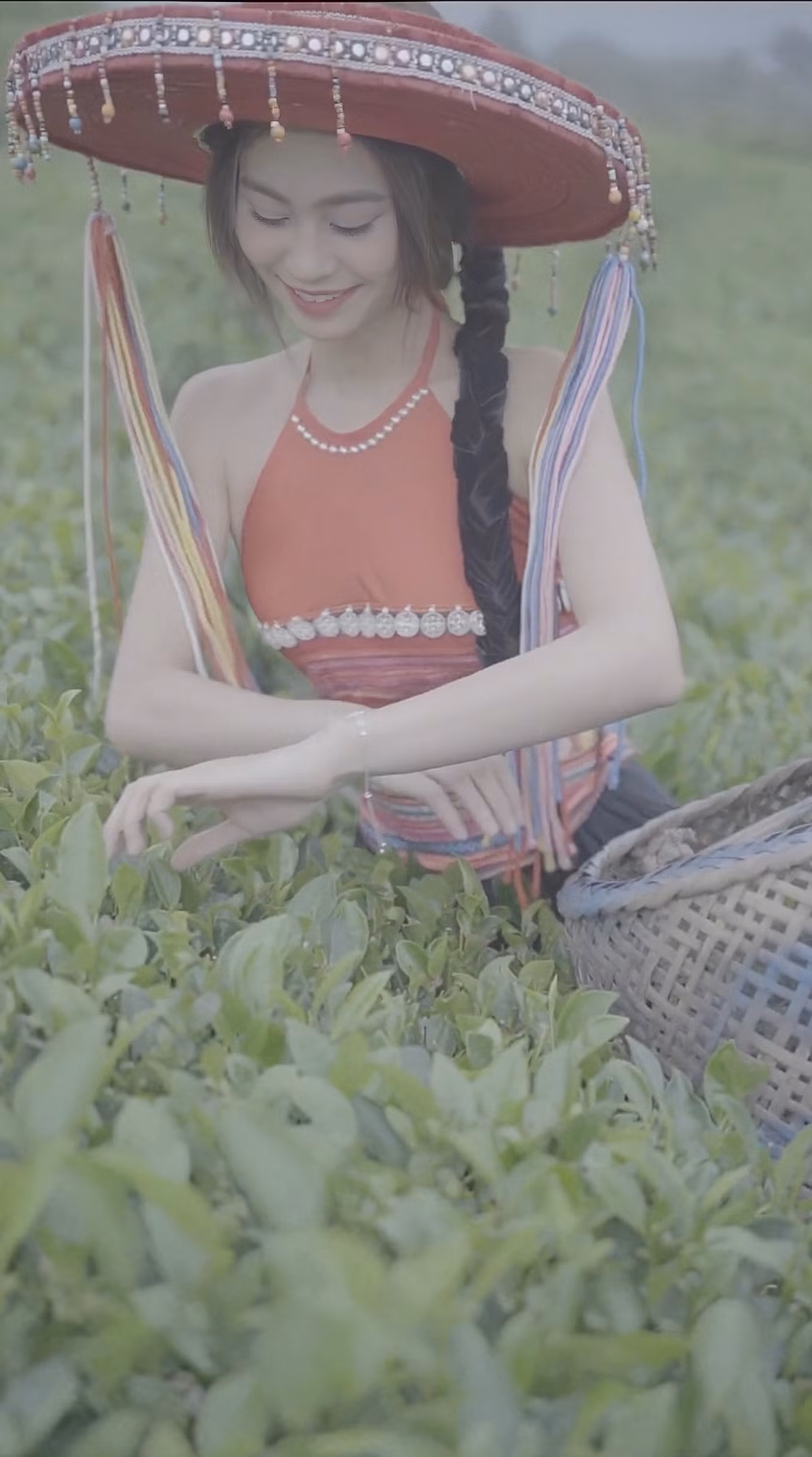 Trang thấu hiểu sự vất vả của những người phụ nữ trong gia đình và làng xóm với công việc hái chè.