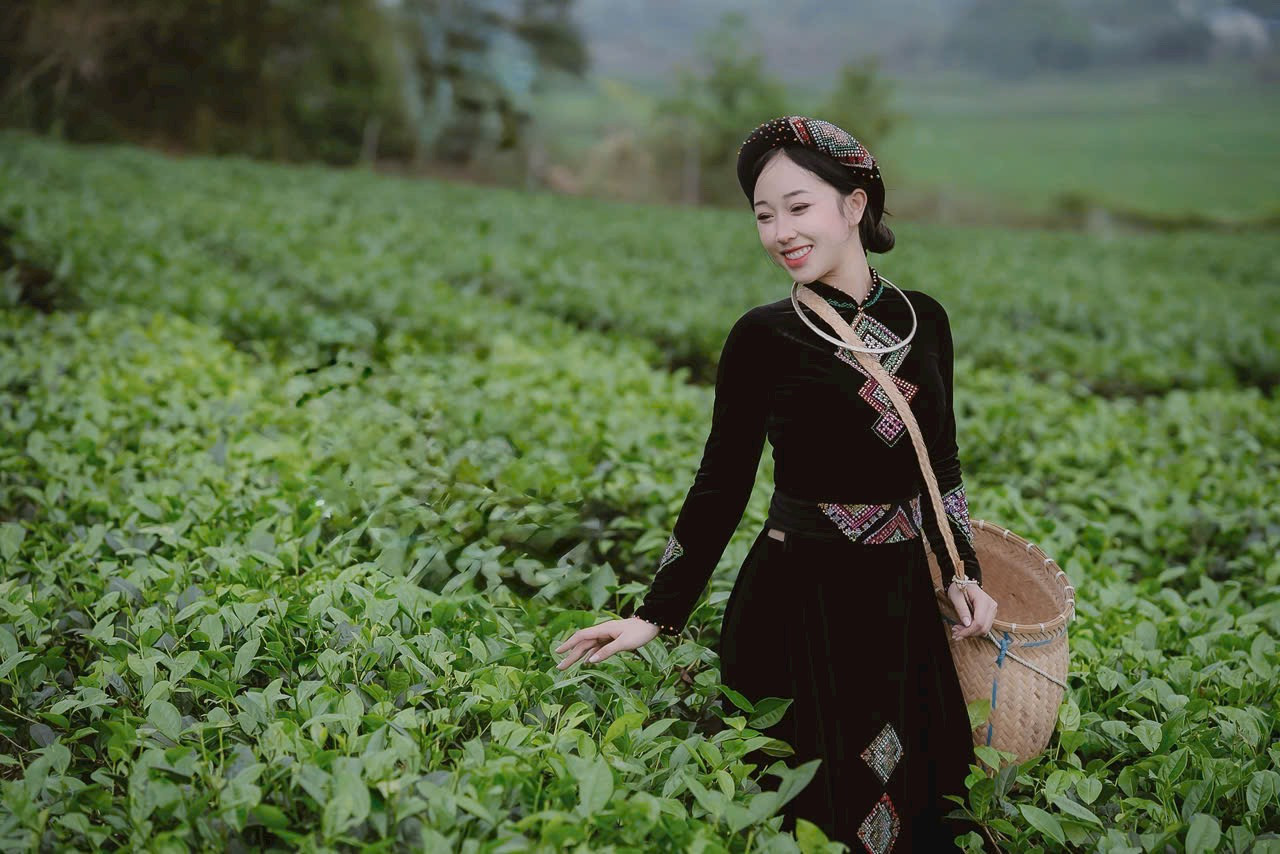 Cao Giang trong trang phục dân tộc xuất hiện giữa sương sớm Tân Cương Thái Nguyên với nụ cười rạng rỡ và giỏ chè xanh. Cao Giang trong trang phục dân tộc xuất hiện giữa sương sớm Tân Cương Thái Nguyên với nụ cười rạng rỡ và giỏ chè xanh.