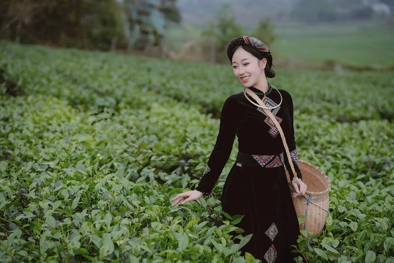 Cao Giang trong trang phục dân tộc xuất hiện giữa sương sớm Tân Cương Thái Nguyên với nụ cười rạng rỡ và giỏ chè xanh. Cao Giang trong trang phục dân tộc xuất hiện giữa sương sớm Tân Cương Thái Nguyên với nụ cười rạng rỡ và giỏ chè xanh.